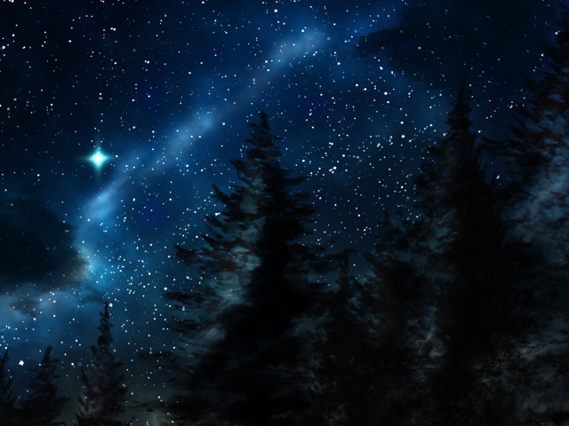 Скачать обои бесплатно Небо, Звезды, Ночь, Дерево, Звездное Небо, Земля/природа картинка на рабочий стол ПК