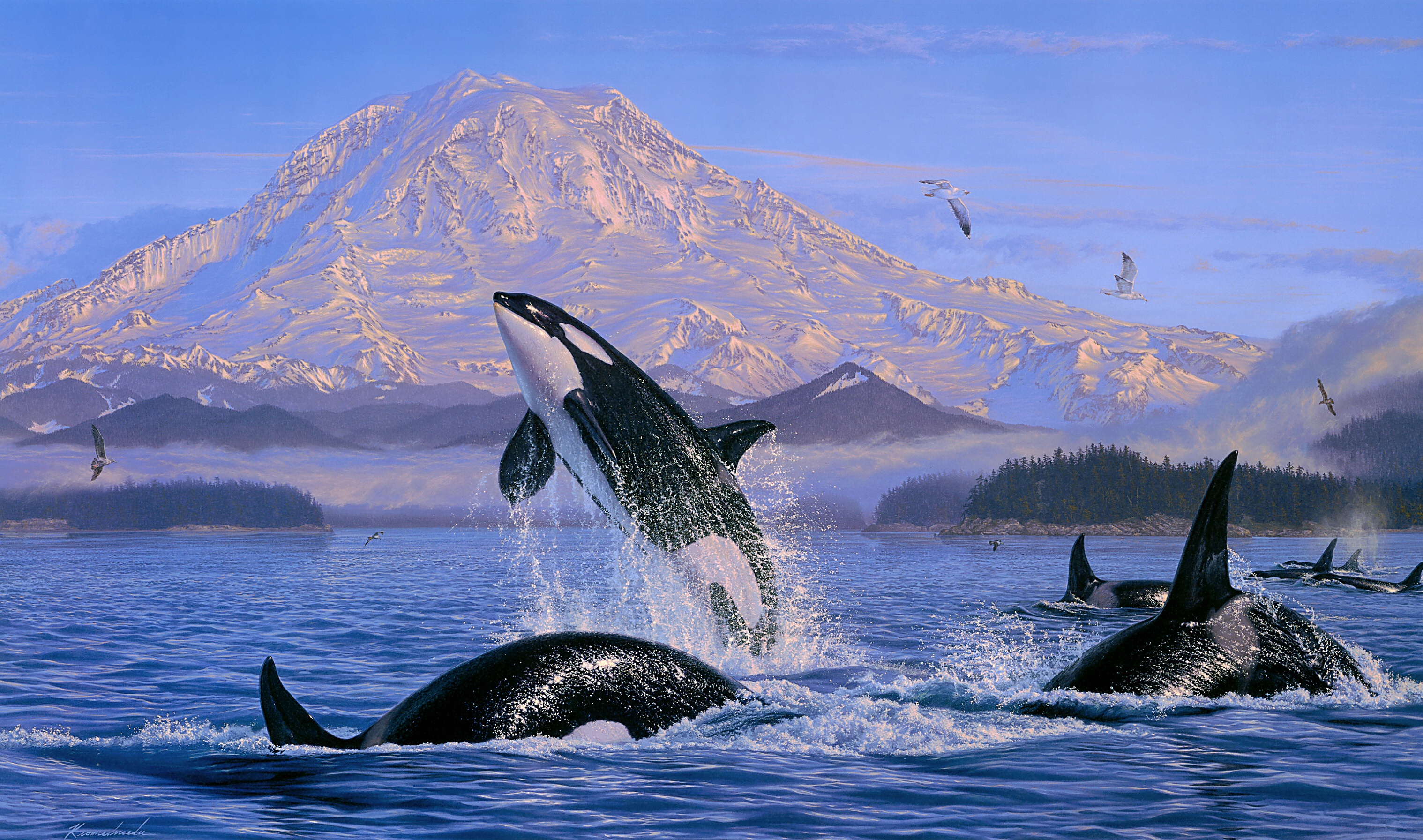 956334壁紙のダウンロード海の生物, 動物, シャチ, ペインティング-スクリーンセーバーと写真を無料で