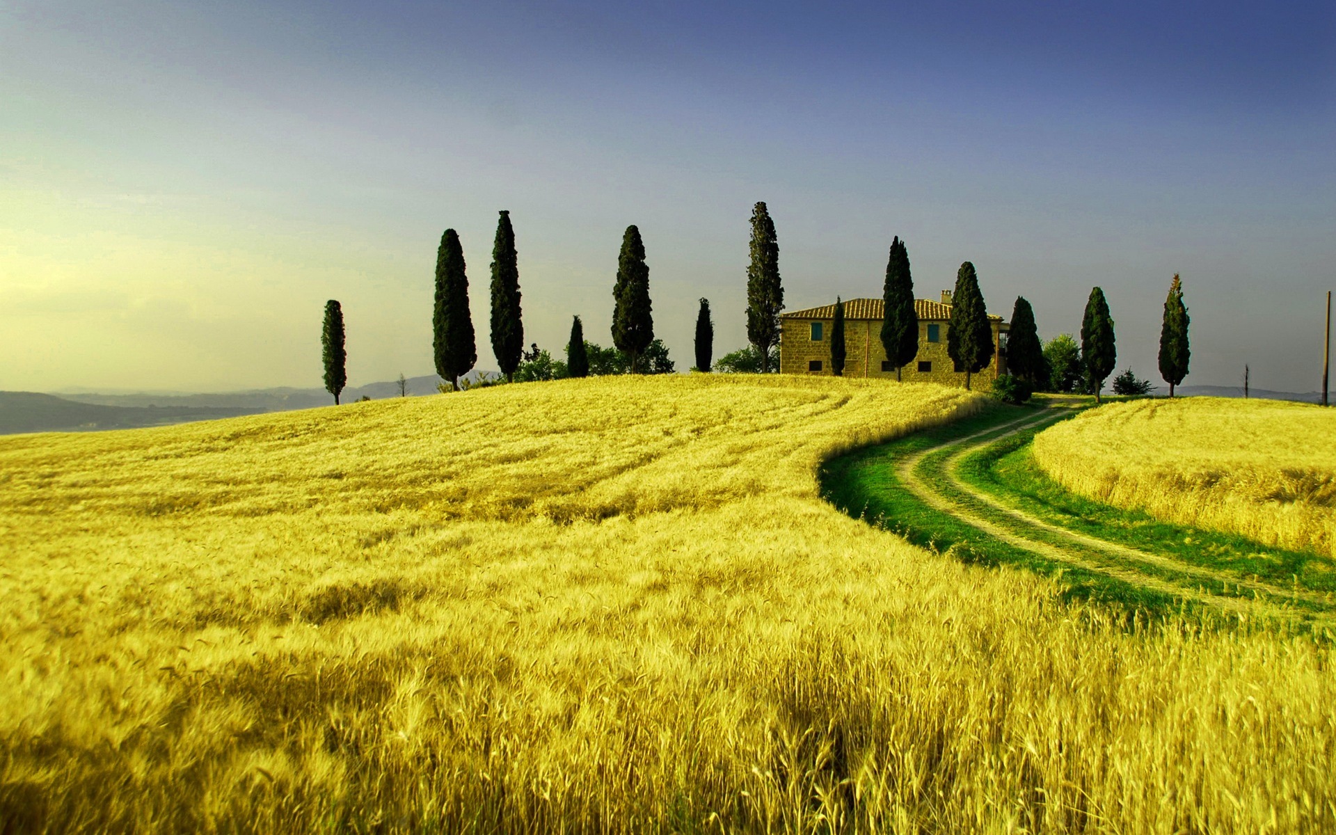 Free download wallpaper Landscape, Wheat, Fields on your PC desktop