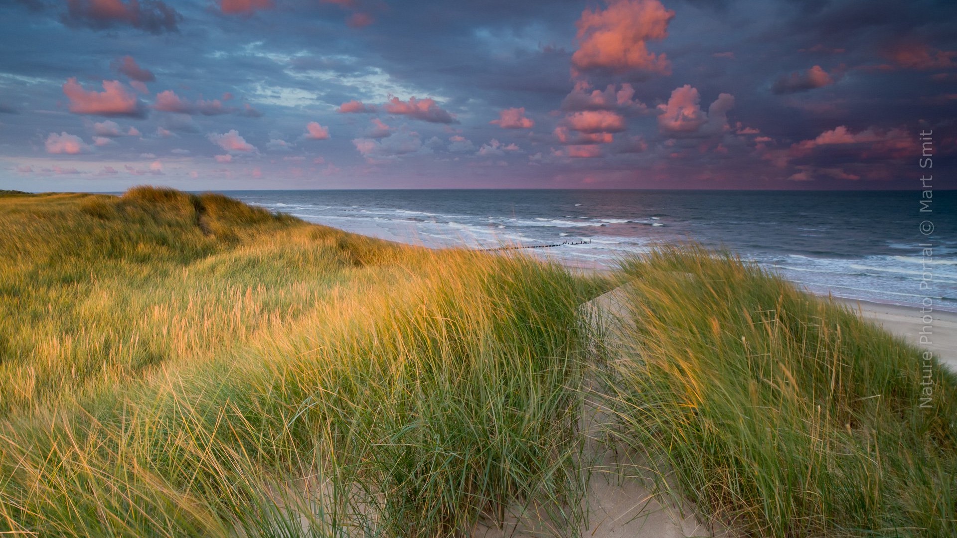 Download mobile wallpaper Sunset, Grass, Sky, Sea, Beach, Horizon, Ocean, Cloud, Photography for free.