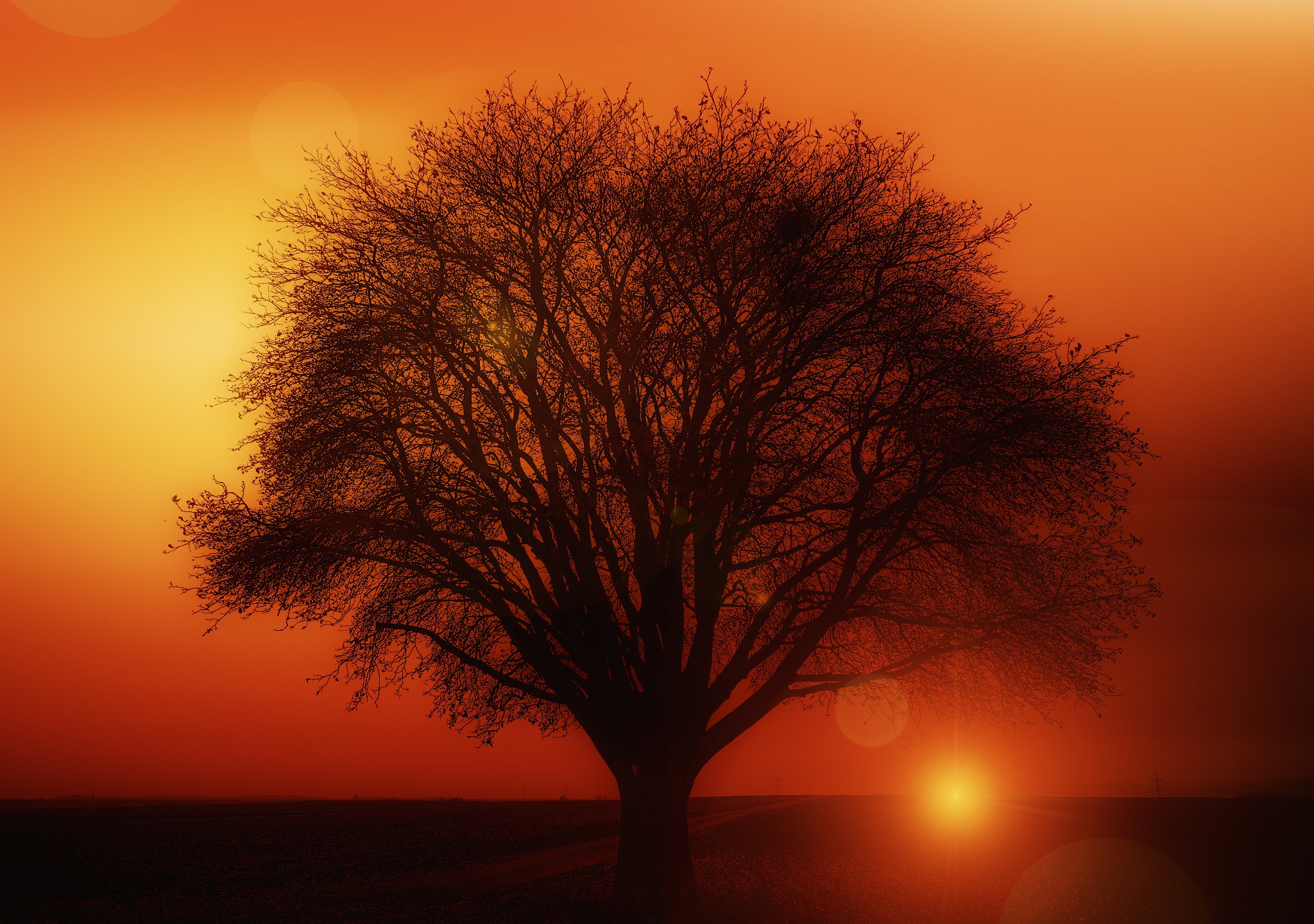 Скачать обои бесплатно Солнце, Силуэт, Дорога, Дерево, Земля/природа, Закат Солнца, Оранжевый Цвет) картинка на рабочий стол ПК