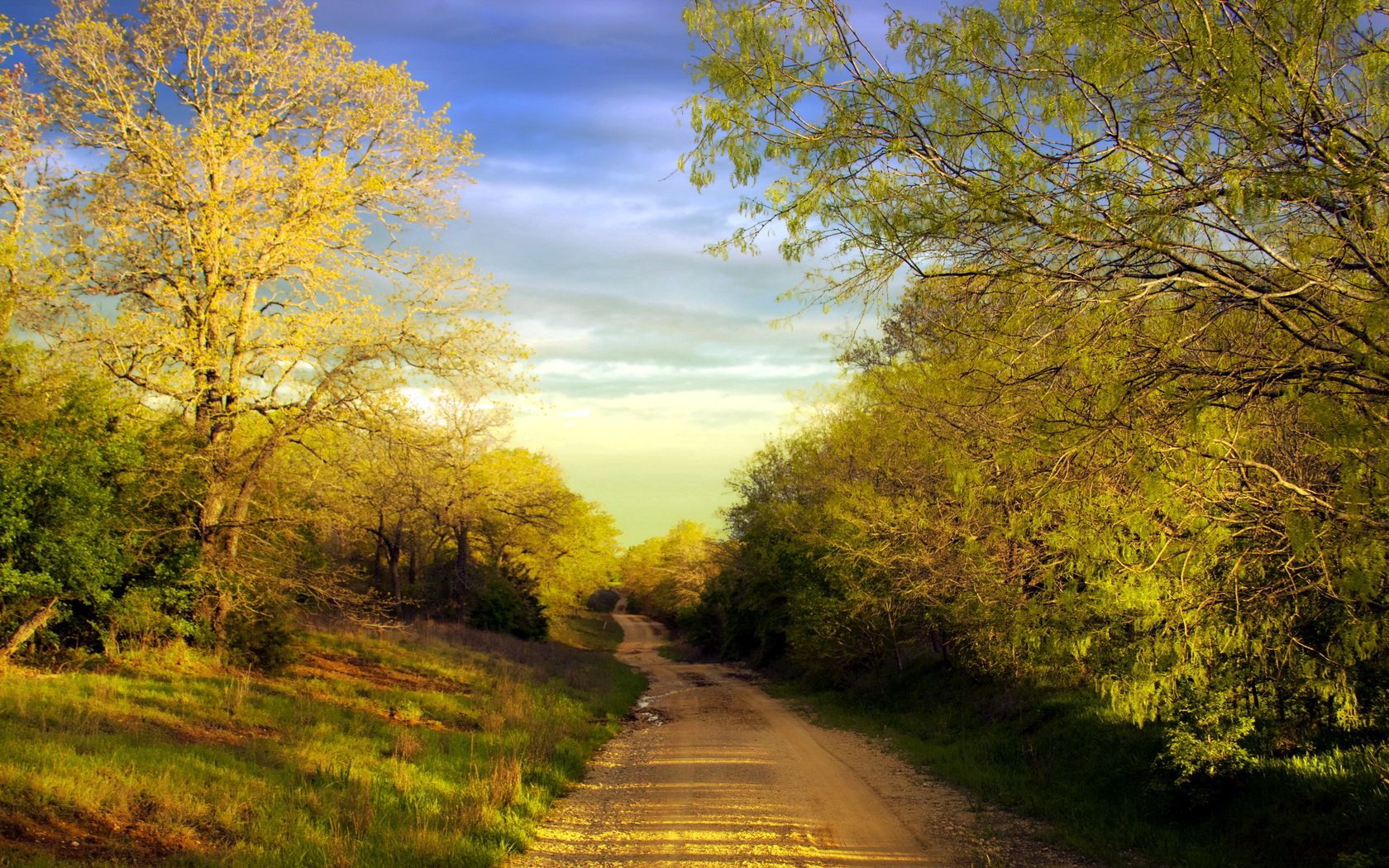 Free download wallpaper Trees, Summer, Road, Country, Countryside, Nature on your PC desktop
