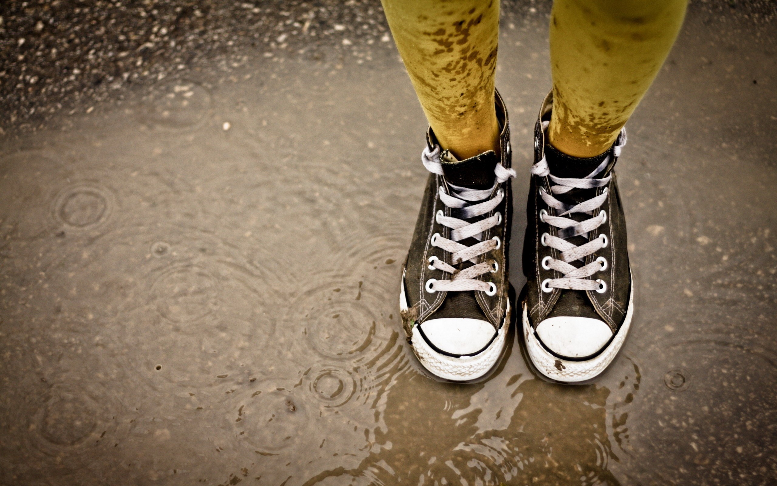 products, converse, puddle, shoe, sneakers