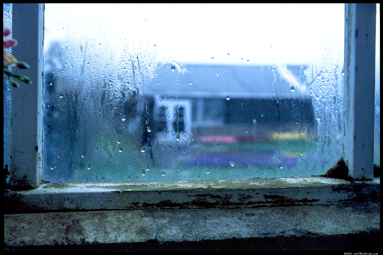 rain, man made, room, window