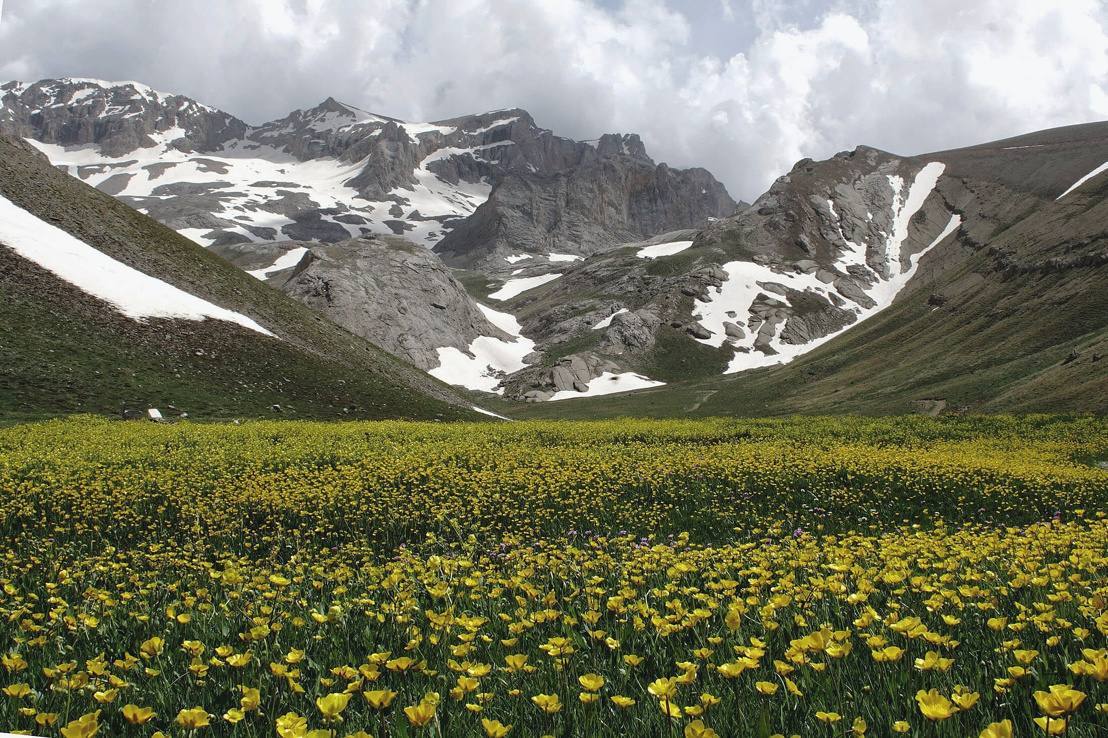 Free download wallpaper Mountain, Flower, Earth, Cloud on your PC desktop