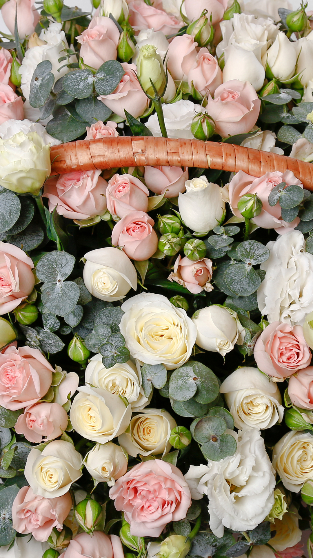 Download mobile wallpaper Flower, Rose, Earth, Colors, Basket, Pastel, White Flower, Pink Flower for free.
