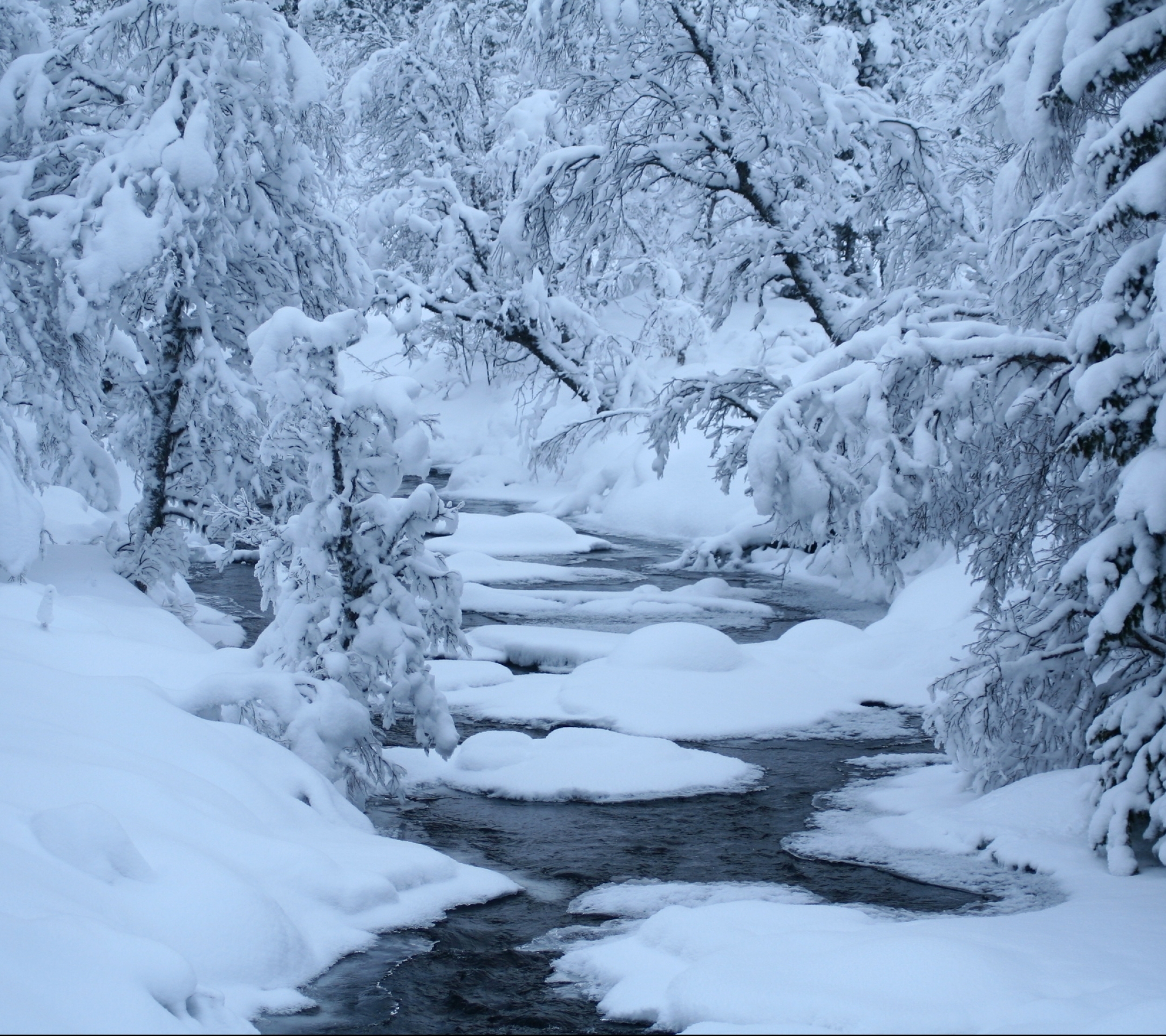 Descarga gratuita de fondo de pantalla para móvil de Invierno, Tierra/naturaleza.