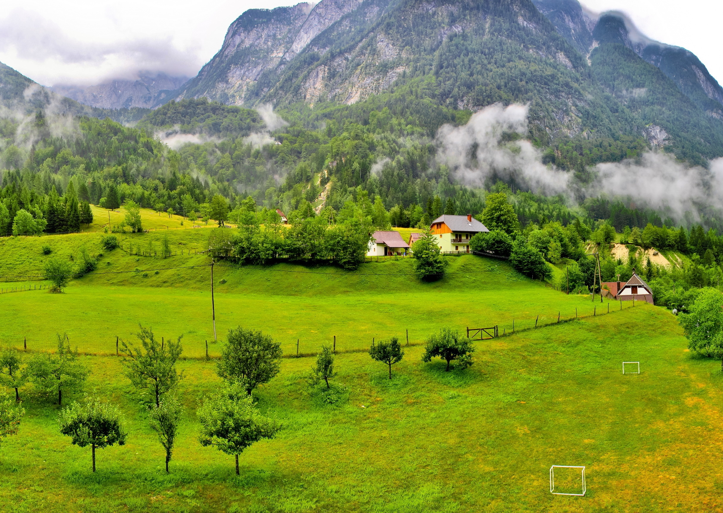 Baixe gratuitamente a imagem Natureza, Árvores, Montanhas, Floresta, Eslovênia na área de trabalho do seu PC