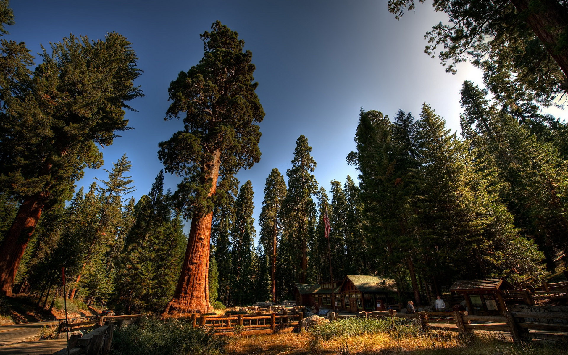 Laden Sie Sequoia Nationalpark HD-Desktop-Hintergründe herunter