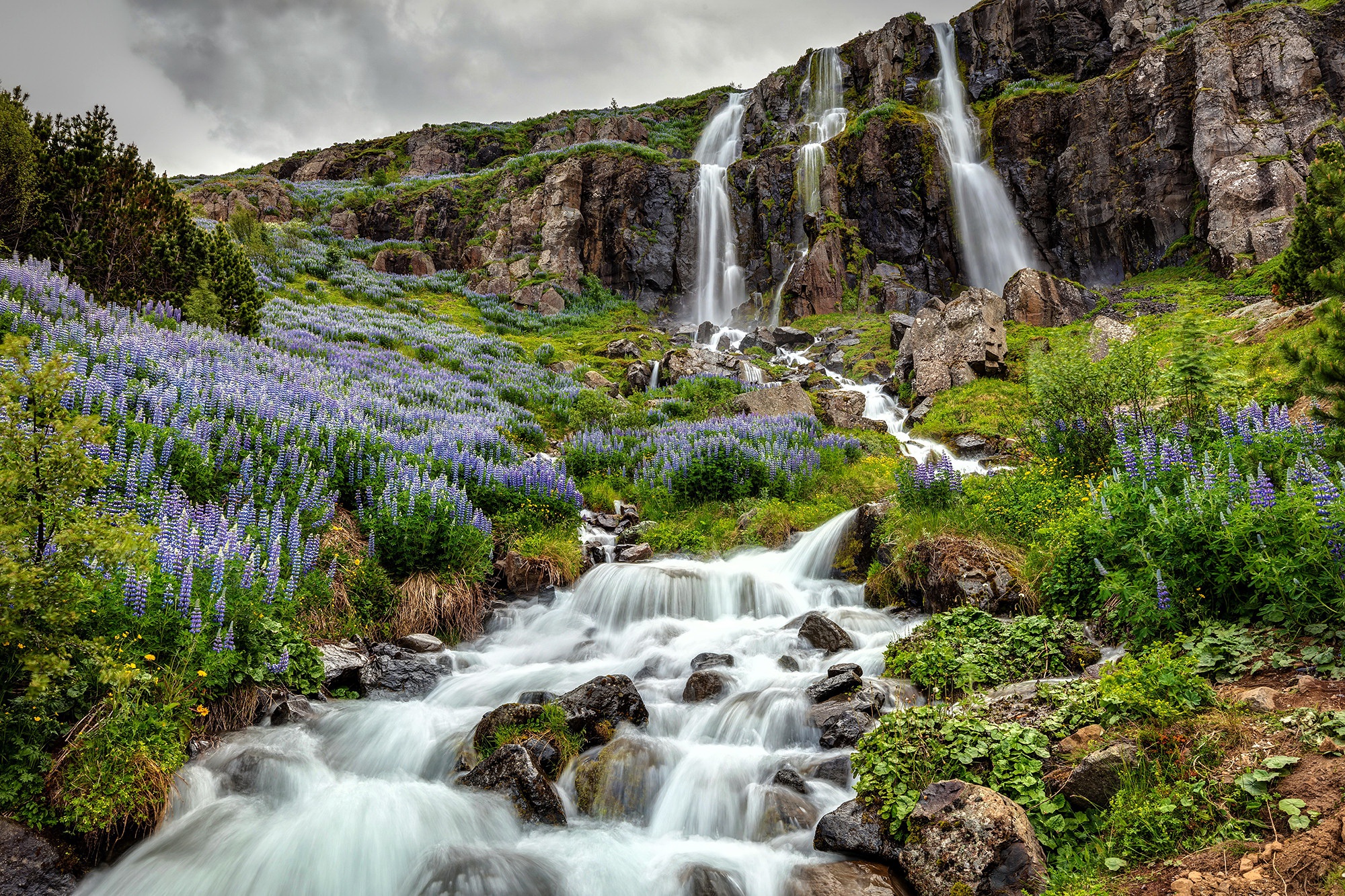 Download mobile wallpaper Nature, Waterfalls, Flower, Waterfall, Earth, Cliff, Stream, Iceland, Lupine for free.