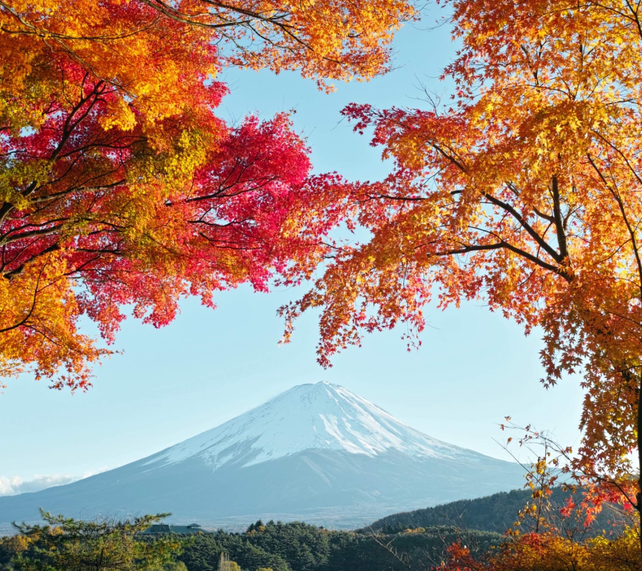 1121623 Bild herunterladen erde/natur, fujisan, fujiyama, japan, vulkane - Hintergrundbilder und Bildschirmschoner kostenlos