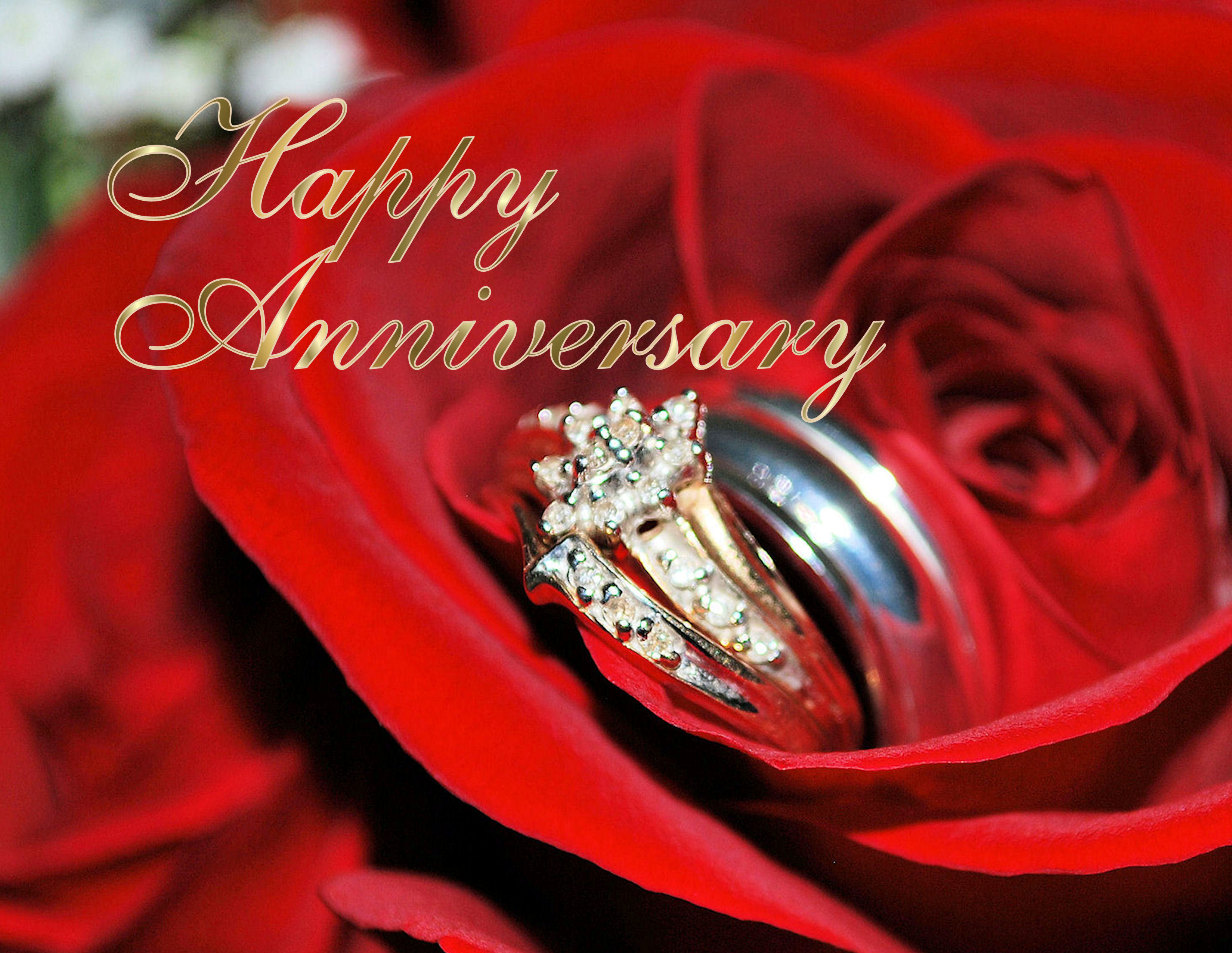 Laden Sie das Feiertage, Liebe, Hochzeit, Rose, Ring, Jubiläum-Bild kostenlos auf Ihren PC-Desktop herunter