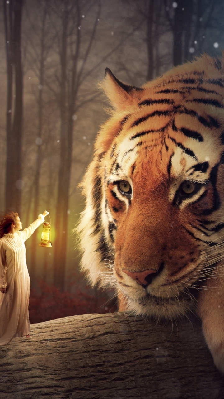 Download mobile wallpaper Fantasy, Forest, Lantern, Tiger, Fantasy Animals for free.