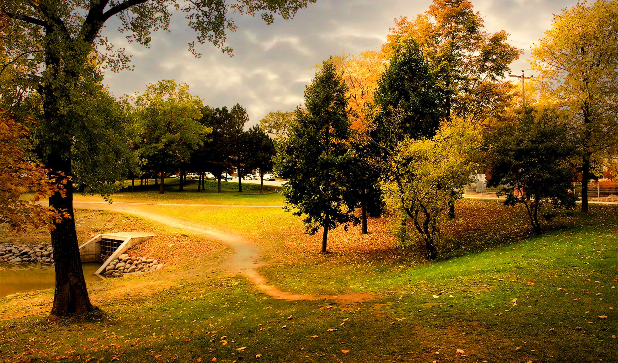 無料モバイル壁紙木, 秋, 道, 公園, 黄色, ゴールデン, 写真撮影をダウンロードします。