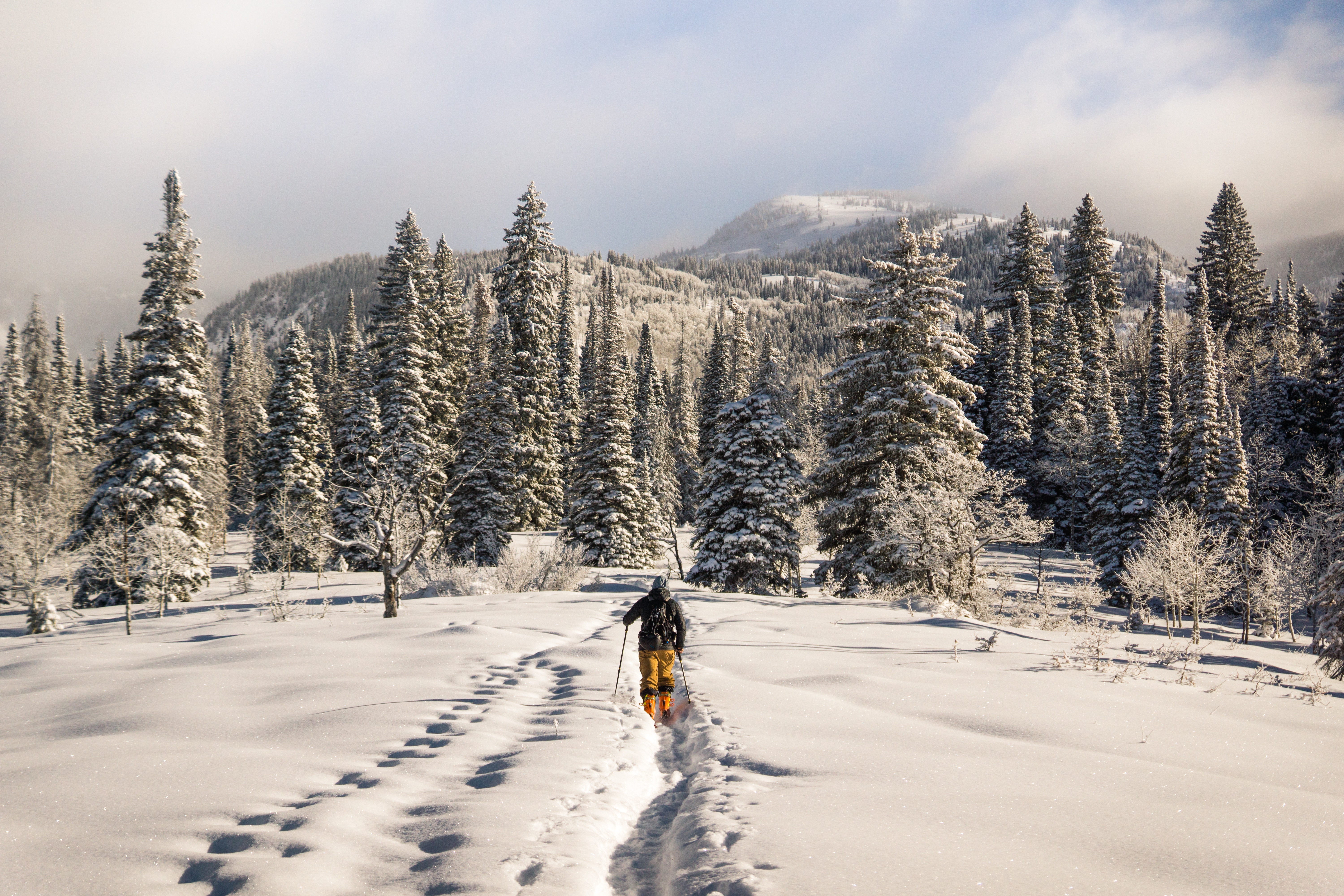 103823 скачать обои лыжник, зима, природа, горы, снег - заставки и картинки бесплатно