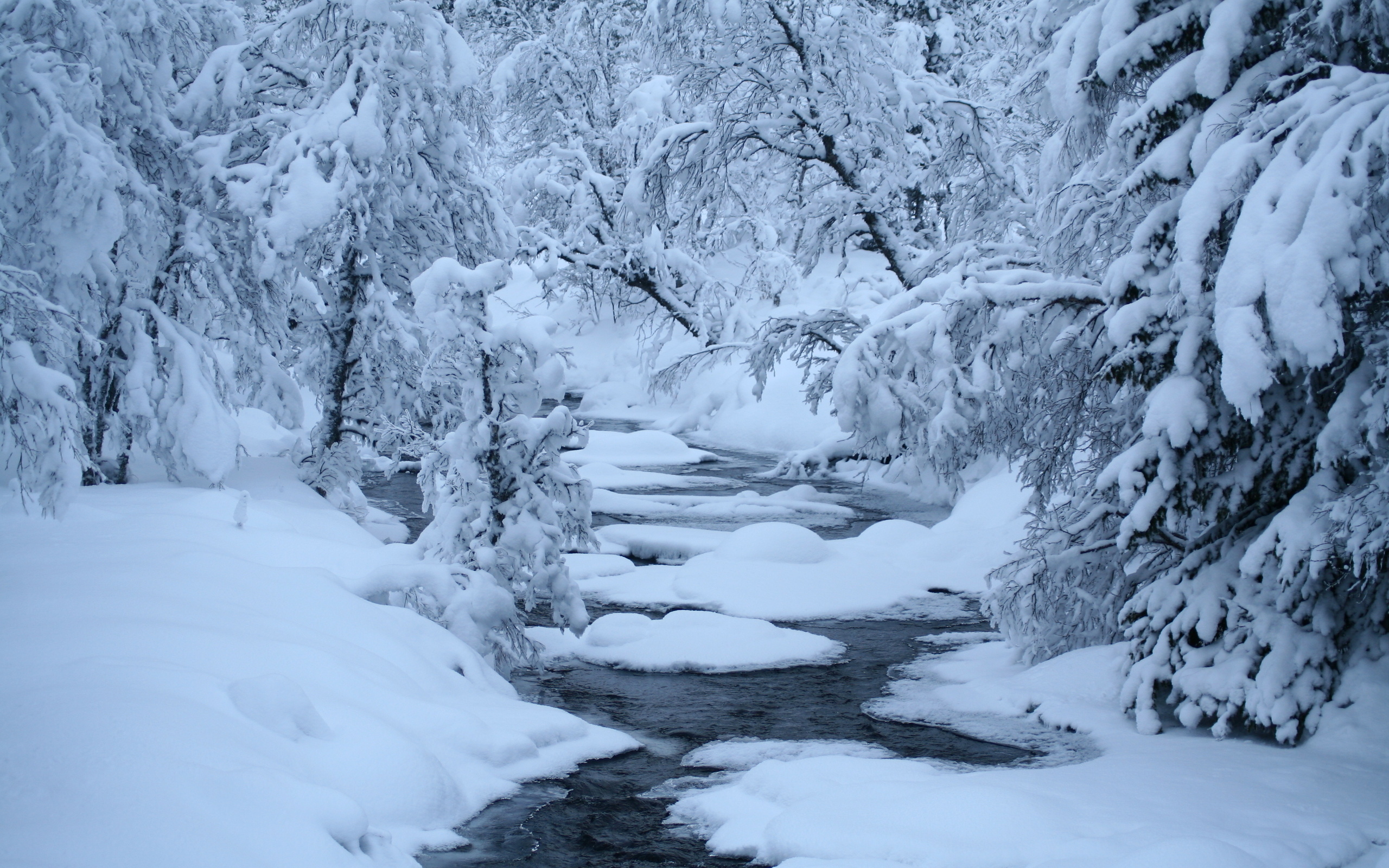 Descarga gratis la imagen Invierno, Tierra/naturaleza en el escritorio de tu PC