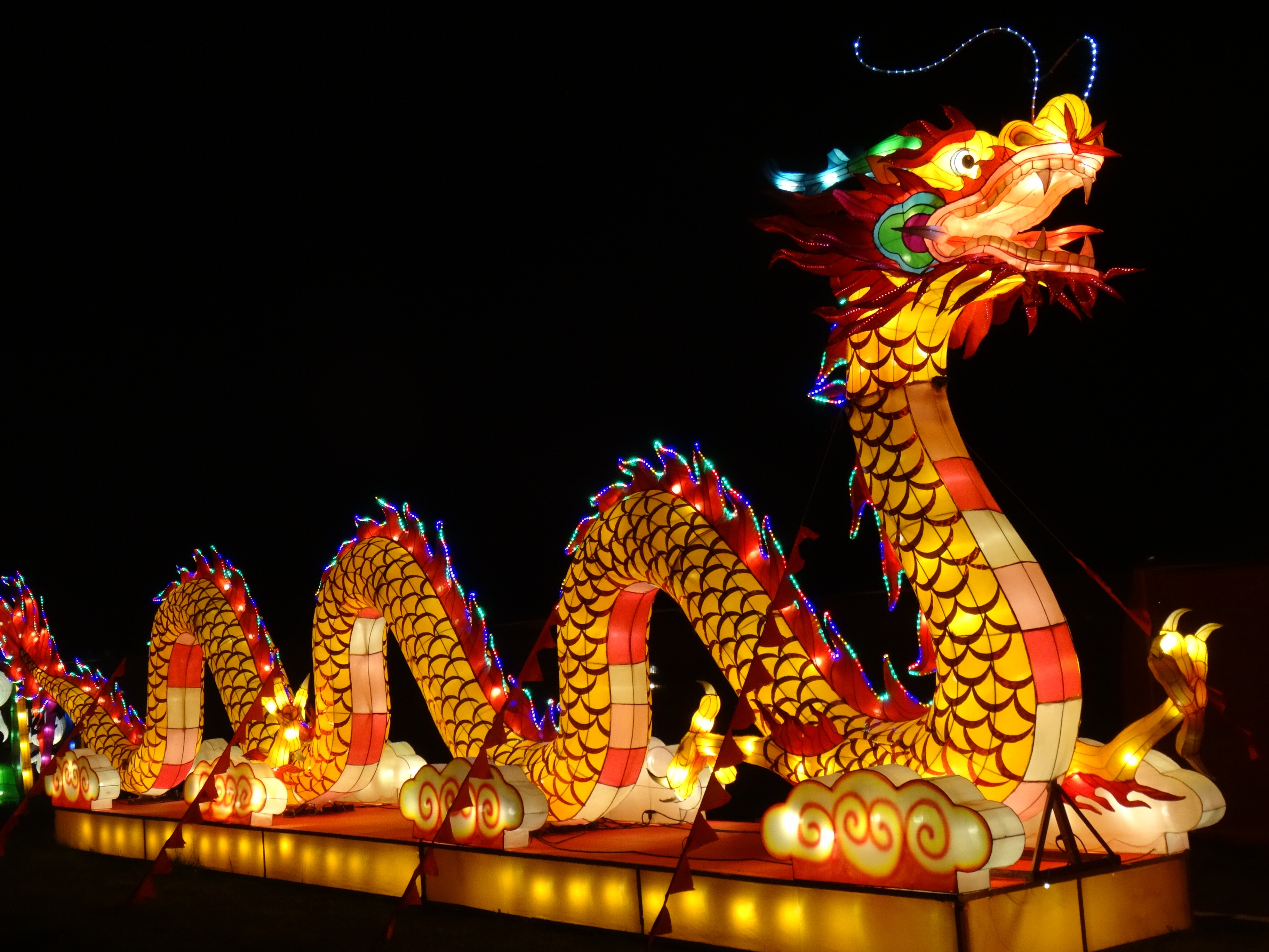 808967 скачать обои праздничные, китайский новый год, китайский дракон, цвета, свет - заставки и картинки бесплатно