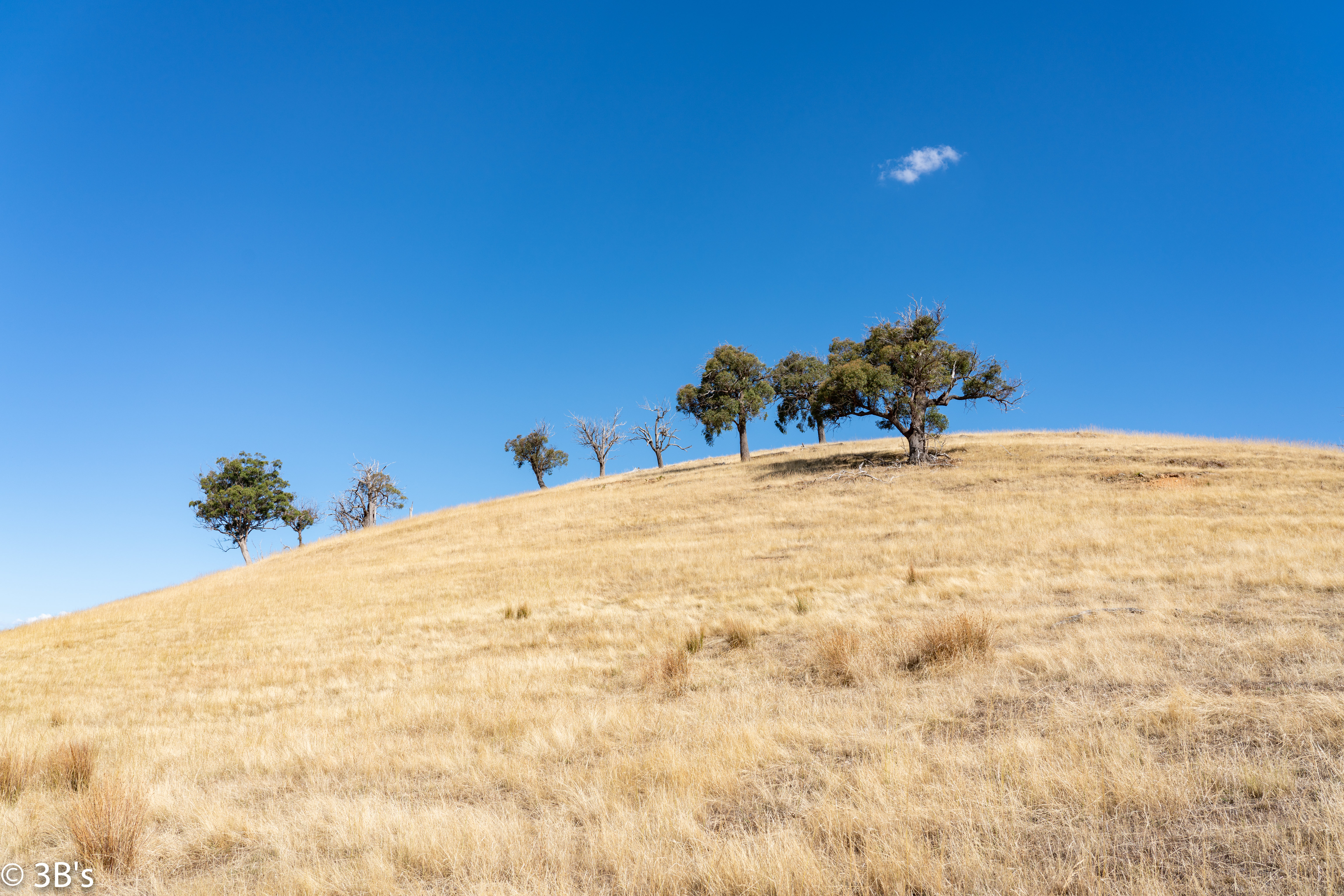 Laden Sie das Natur, Hügel, Hill, Wolke, Cloud, Bäume-Bild kostenlos auf Ihren PC-Desktop herunter