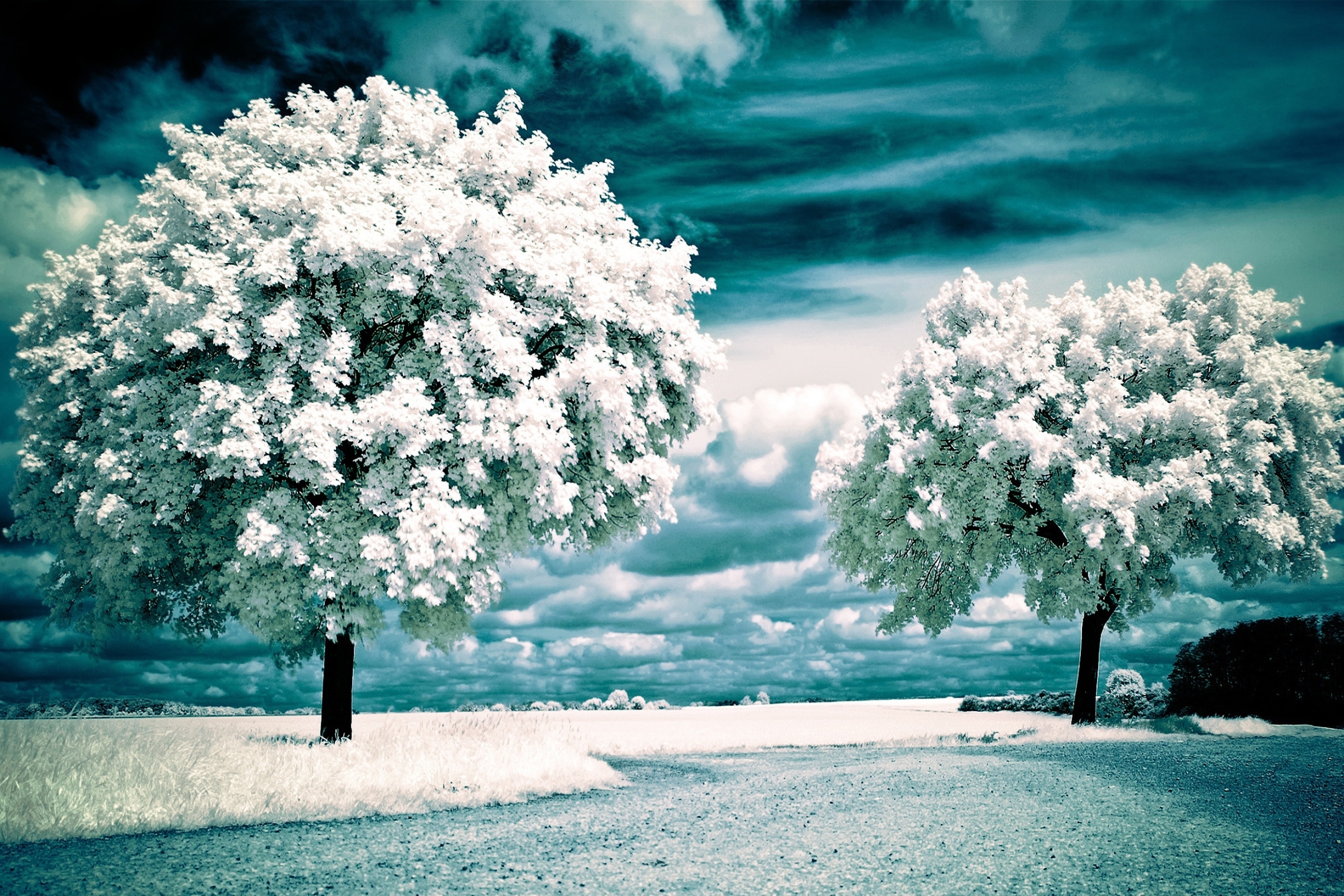 Download mobile wallpaper Winter, Snow, Earth, Scenic for free.