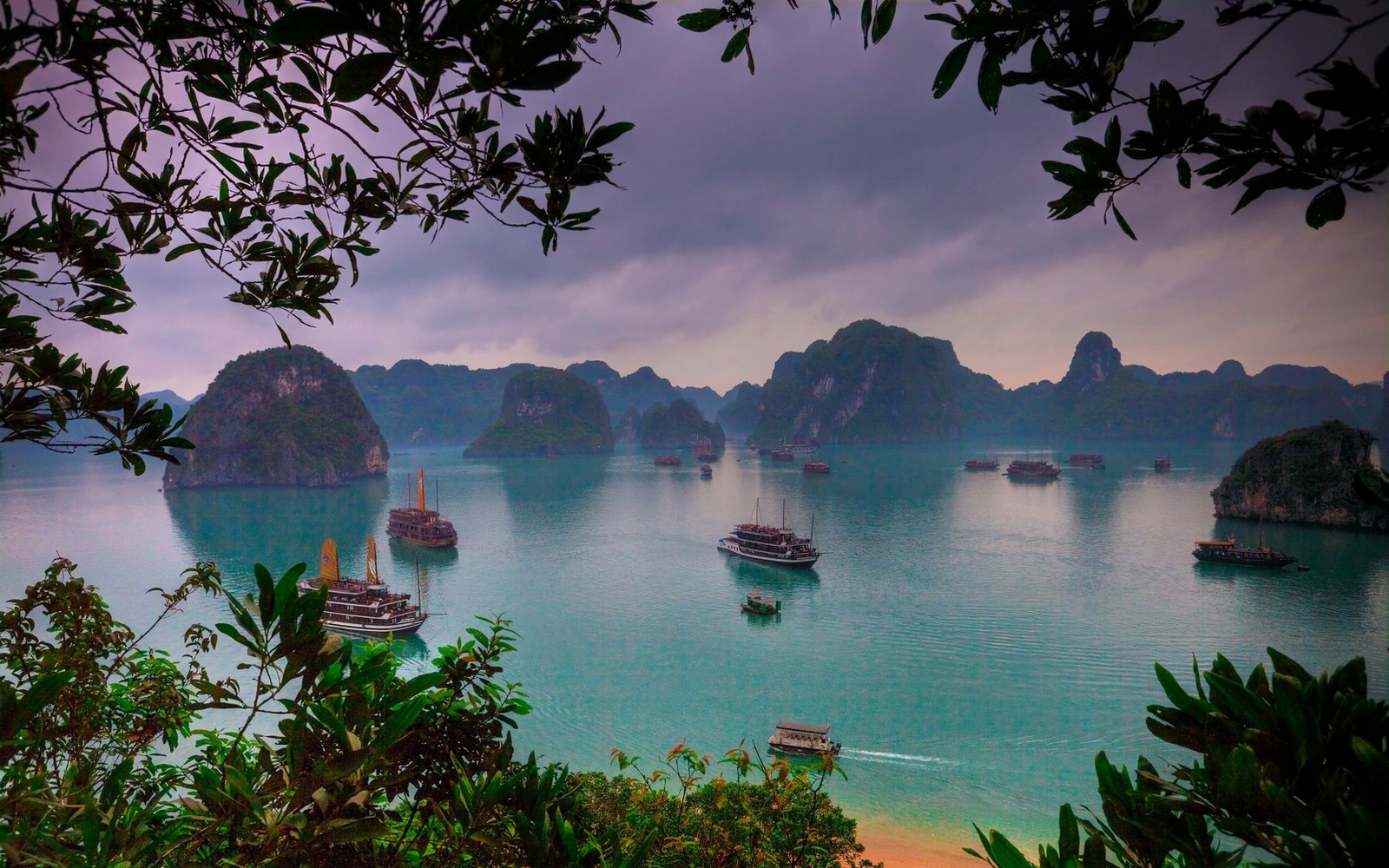 Download mobile wallpaper Sea, Tree, Earth, Boat, Photography, Vietnam, Hạ Long Bay for free.