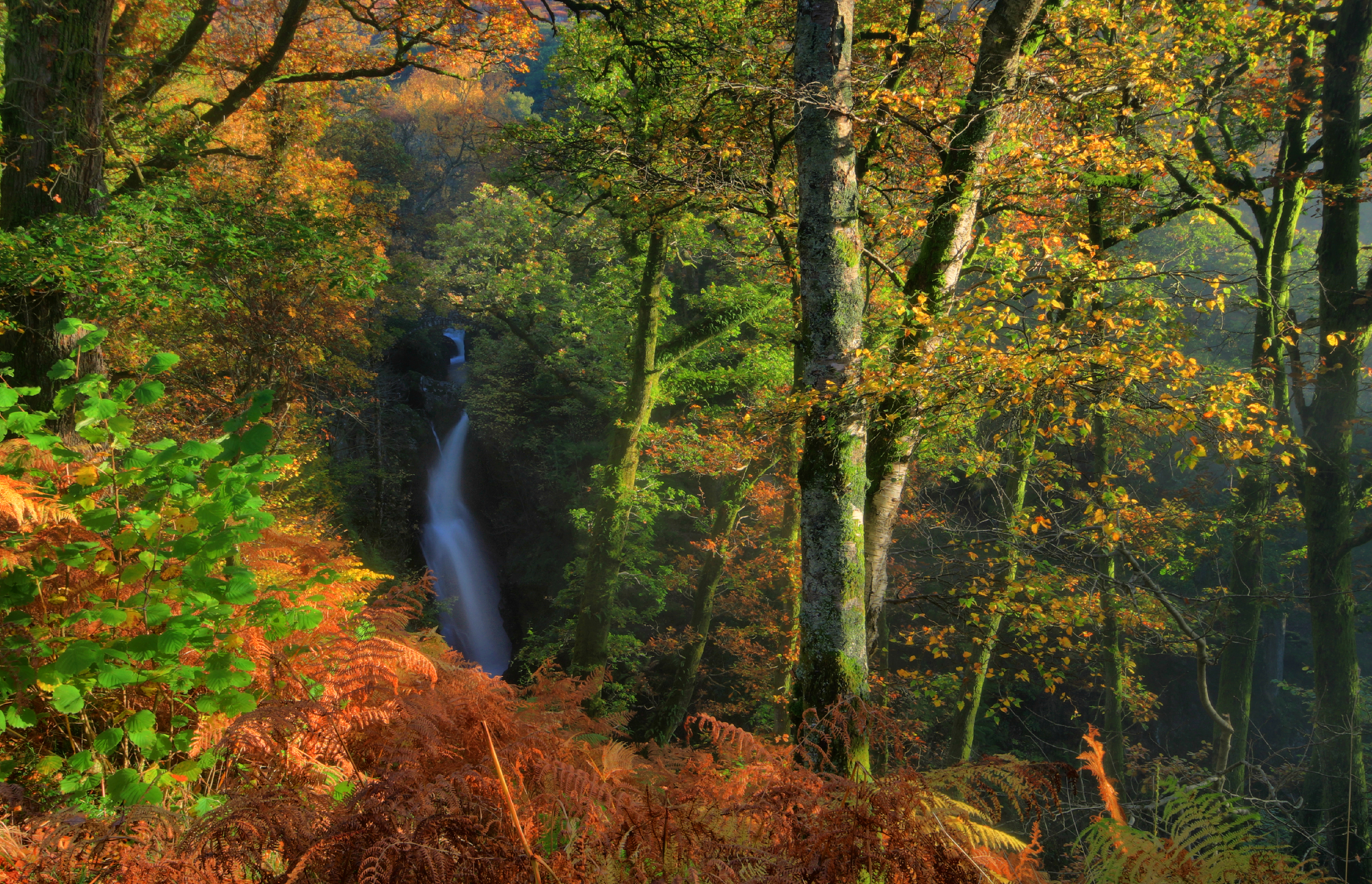 Handy-Wallpaper Herbst, Wasserfall, Wald, Baum, Hdr, Fotografie kostenlos herunterladen.