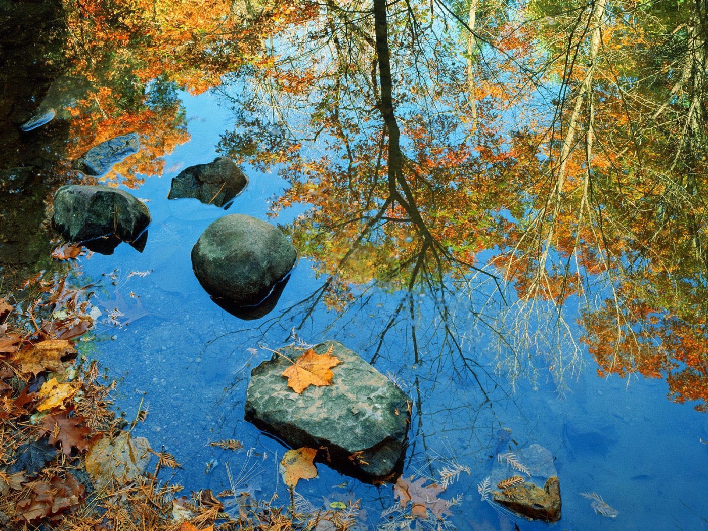 Laden Sie das Landschaft, Blätter, Flüsse-Bild kostenlos auf Ihren PC-Desktop herunter