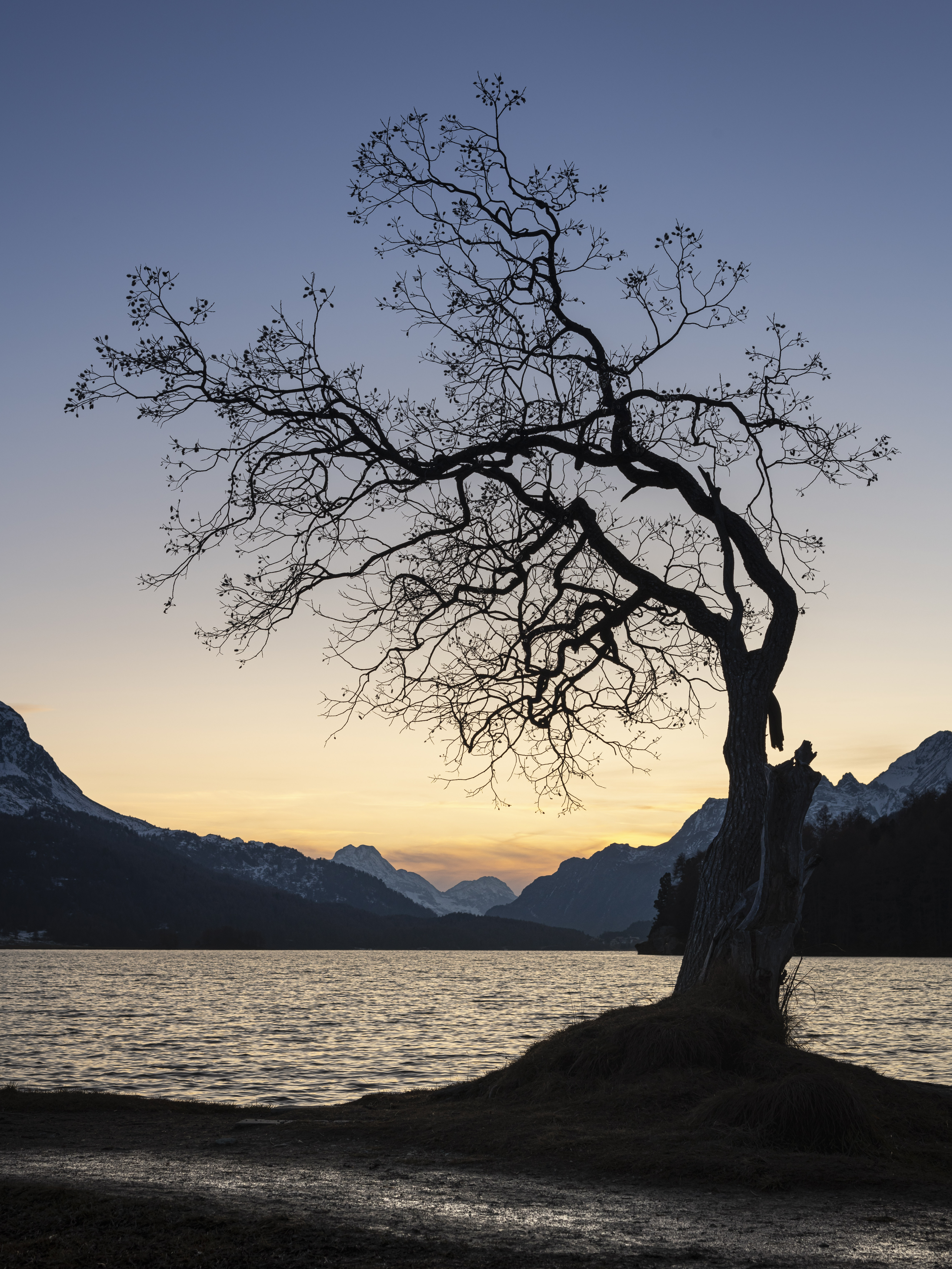 PCデスクトップに自然, 木, 山脈, 湖, 木材, 夕暮れ, 薄明画像を無料でダウンロード