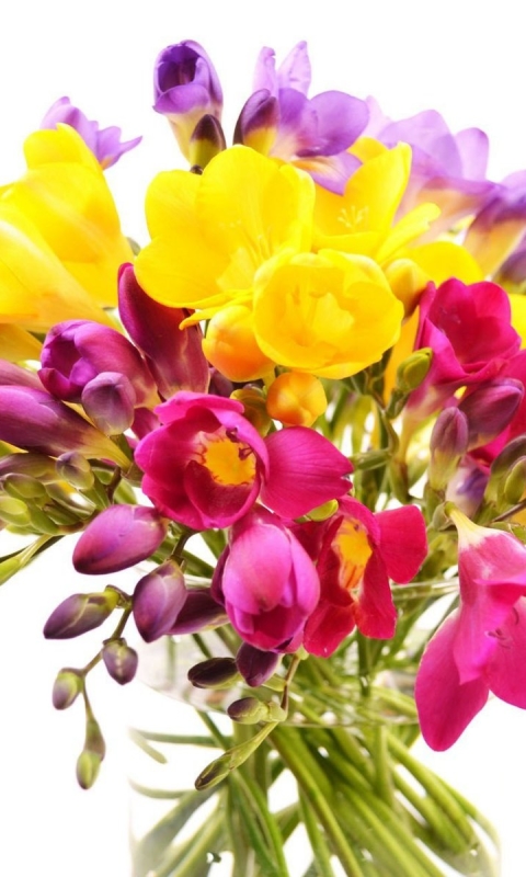 無料モバイル壁紙チューリップ, 花, 色, 花瓶, カラフル, 春, 黄色い花, マンメイド, 紫色の花をダウンロードします。