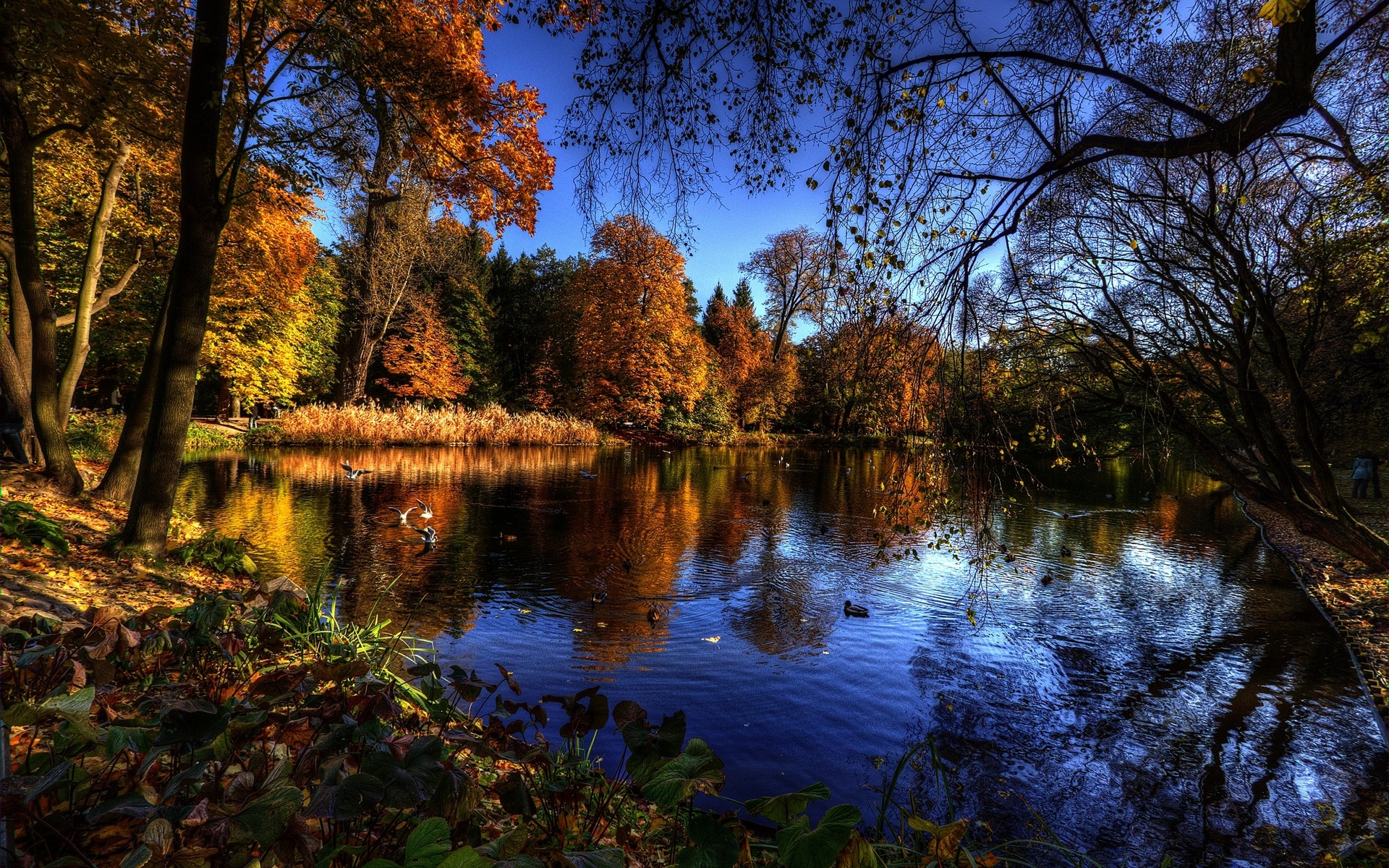 Download mobile wallpaper Nature, Lake, Earth, Hdr for free.