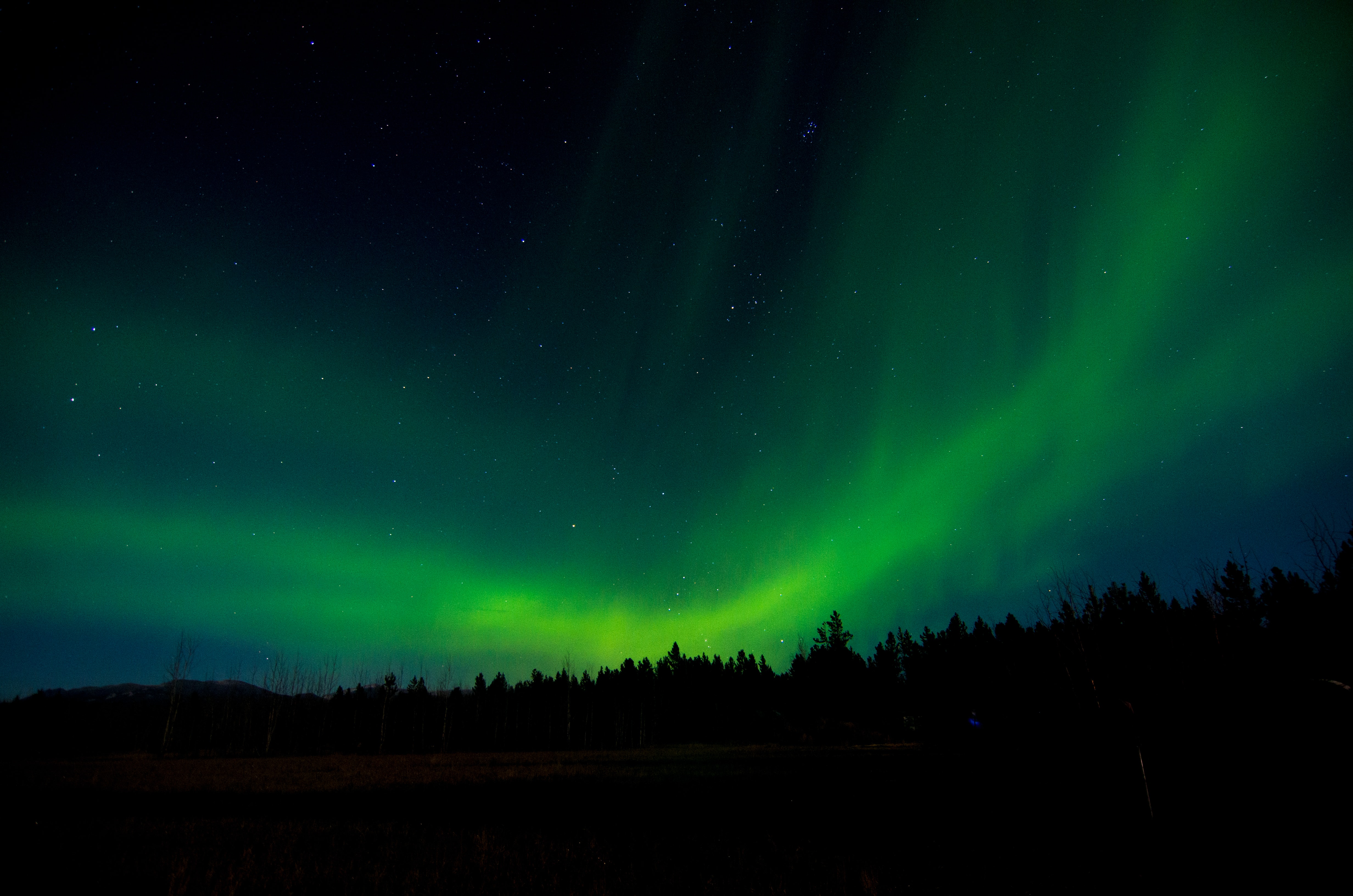 104609 Bild herunterladen nordlichter, übernachtung, natur, bäume, sky, aurora borealis - Hintergrundbilder und Bildschirmschoner kostenlos