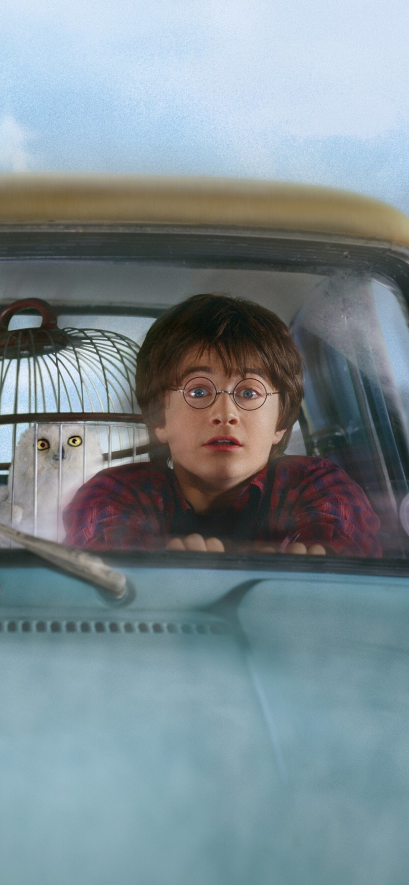 Baixar papel de parede para celular de Harry Potter, Daniel Radcliffe, Filme, Ron Weasley, Rupert Grint, Harry Potter E A Câmara Secreta gratuito.