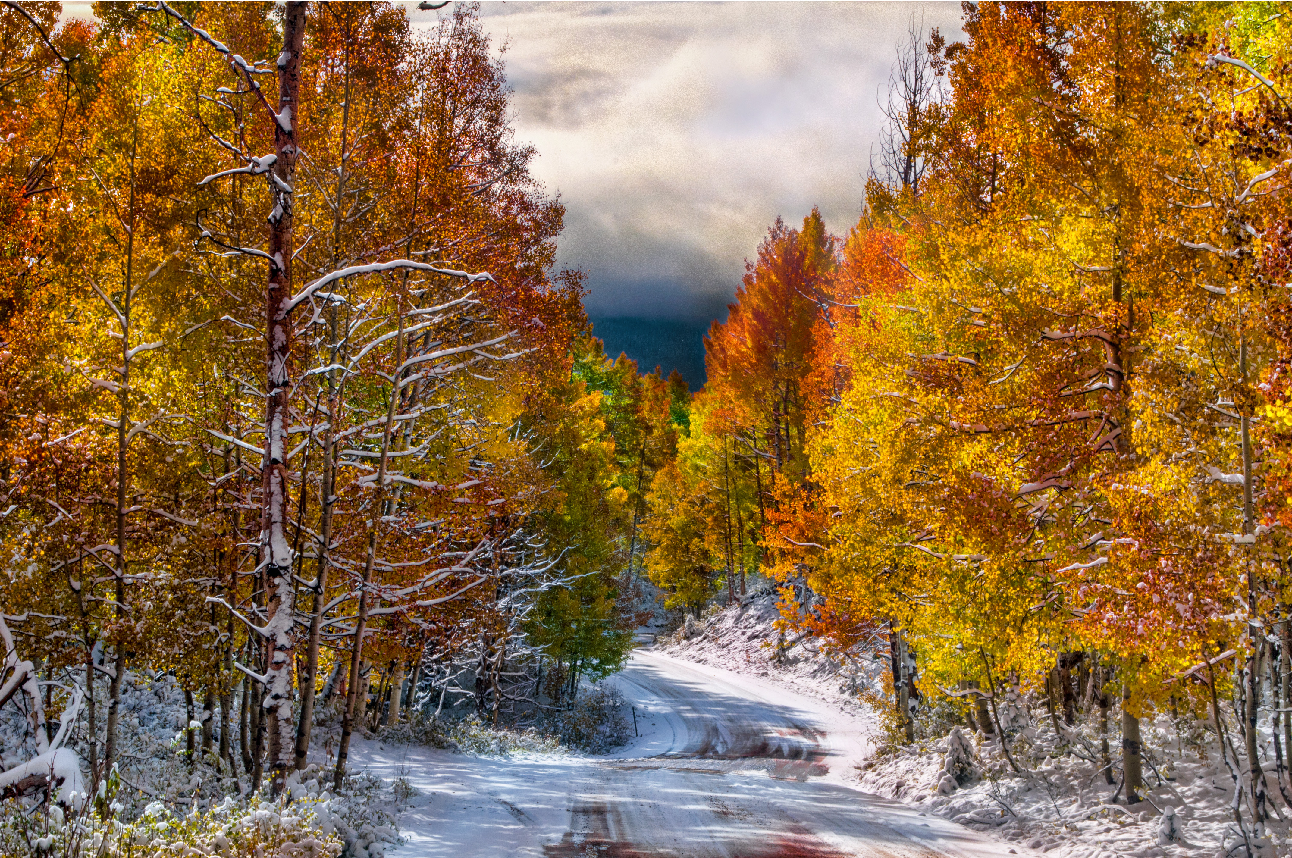 Скачать картинку Осень, Снег, Дорога, Дерево, Сделано Человеком в телефон бесплатно.