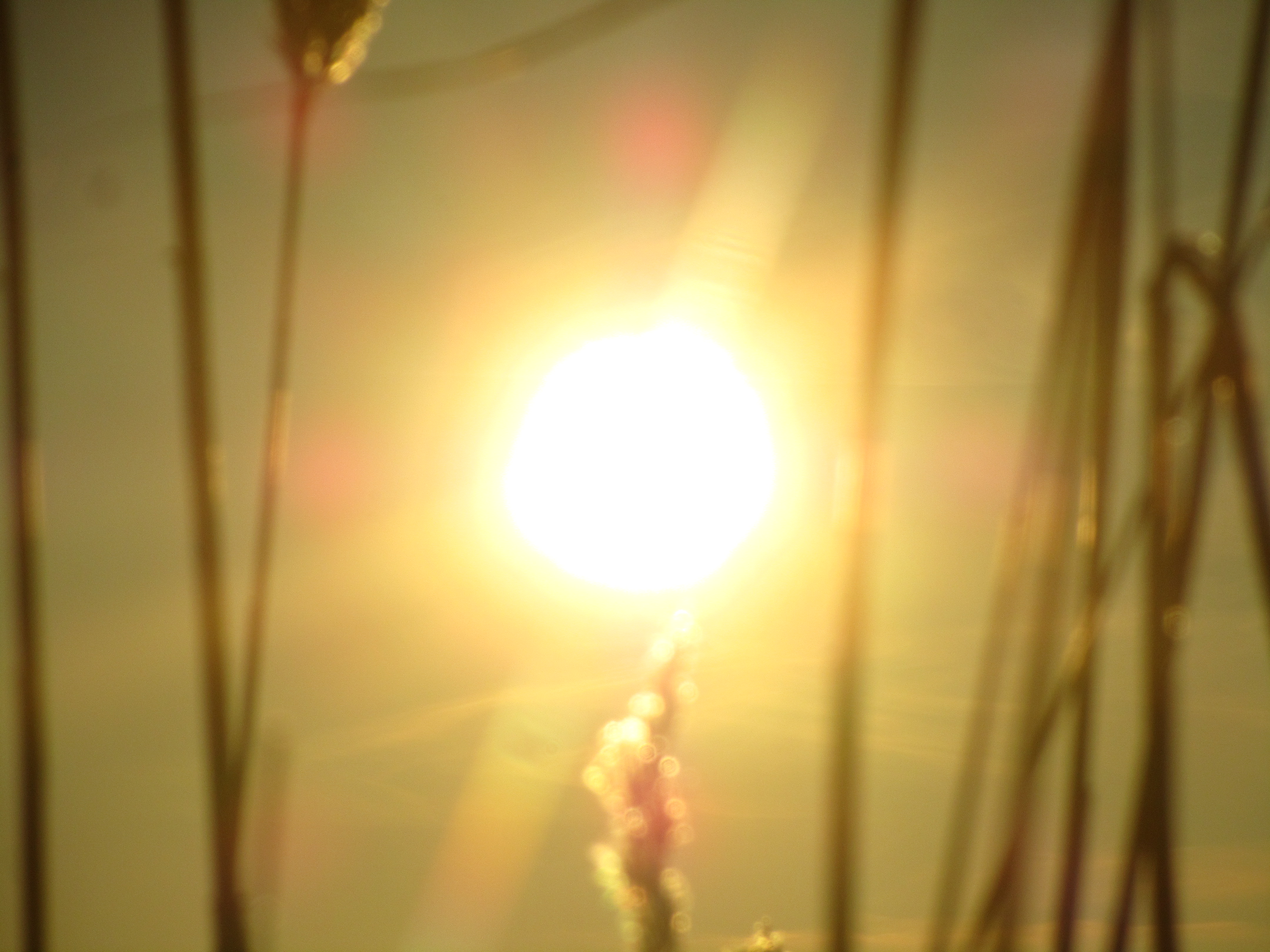 Download mobile wallpaper Earth, Sunbeam for free.