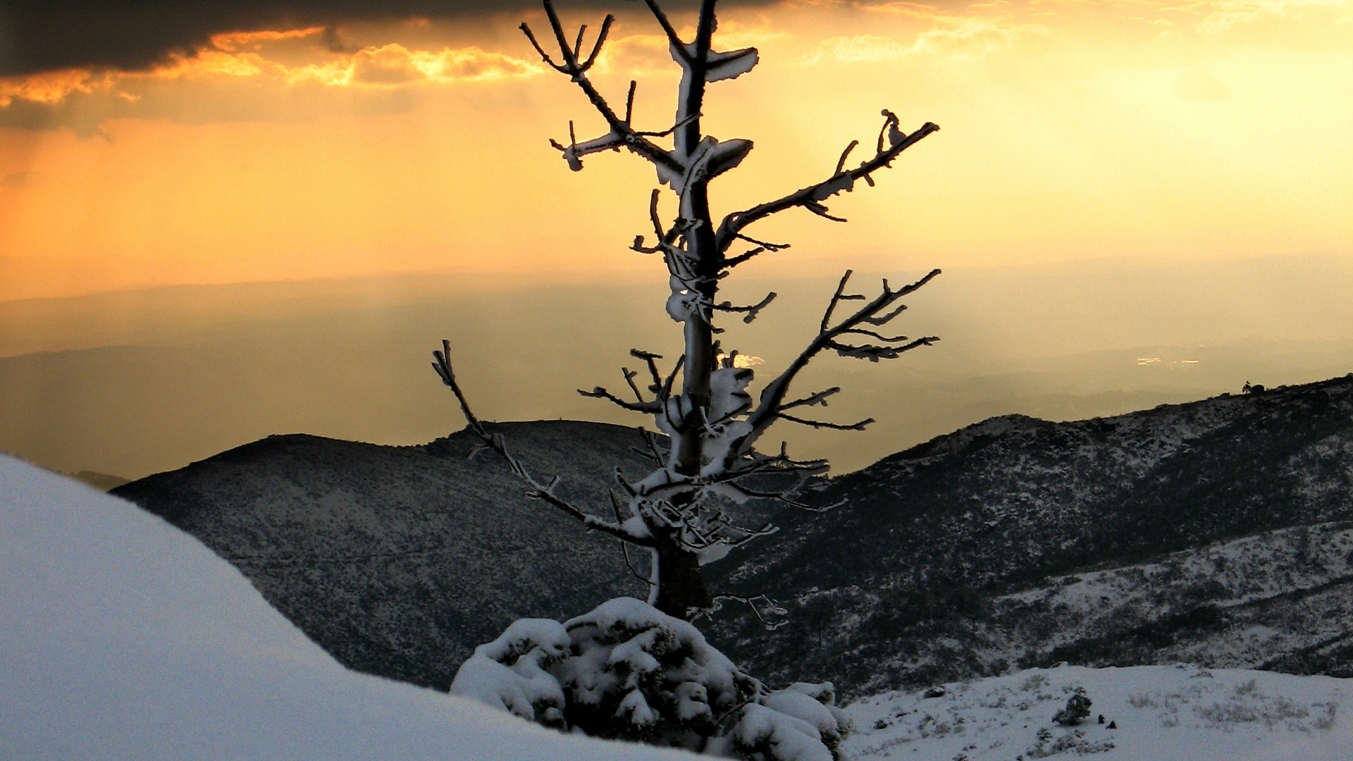 PCデスクトップに冬, 地球, 景色, 荒野画像を無料でダウンロード