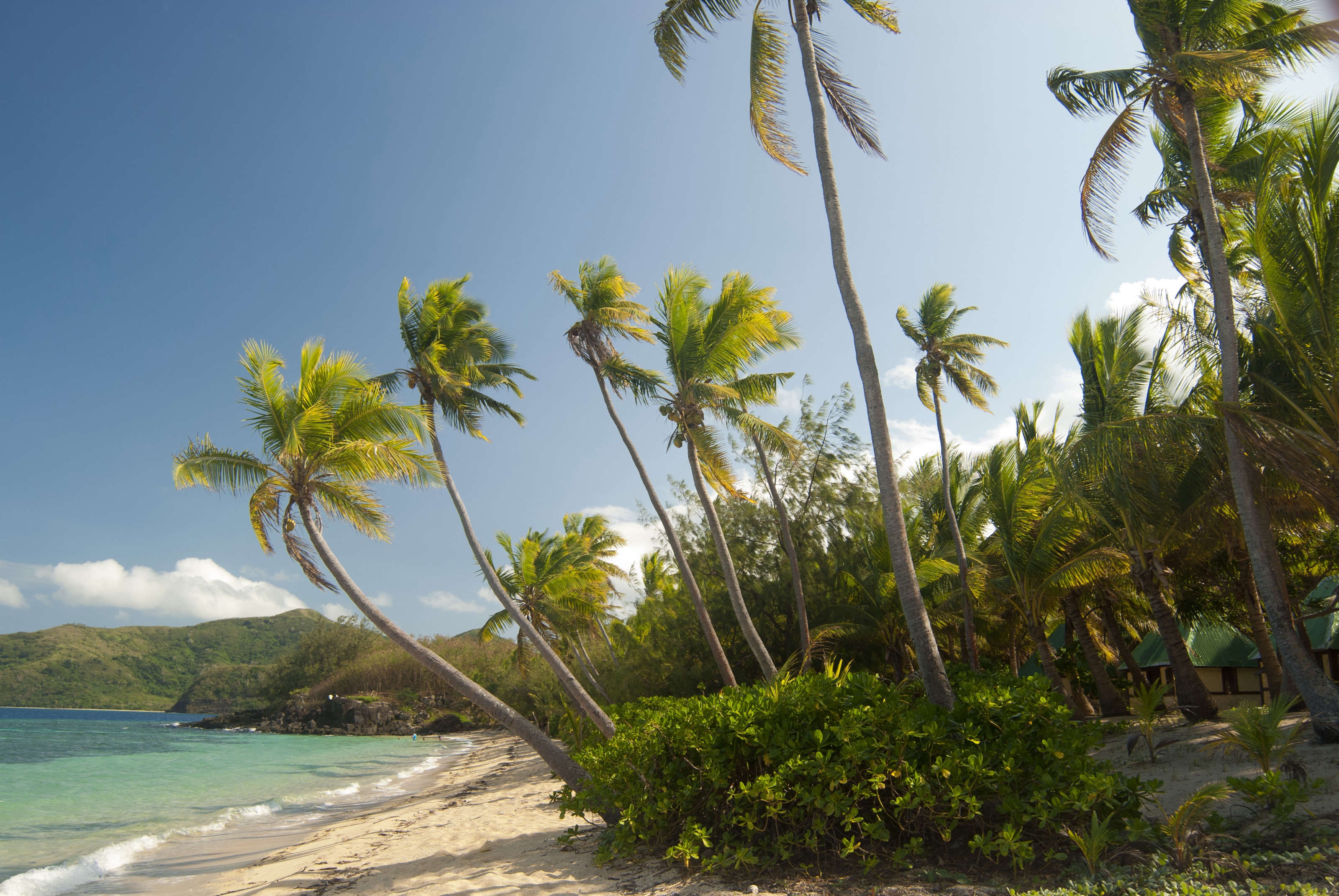 Скачать обои бесплатно Природа, Пальмы, Тропики, Пляж, Мальдивы картинка на рабочий стол ПК