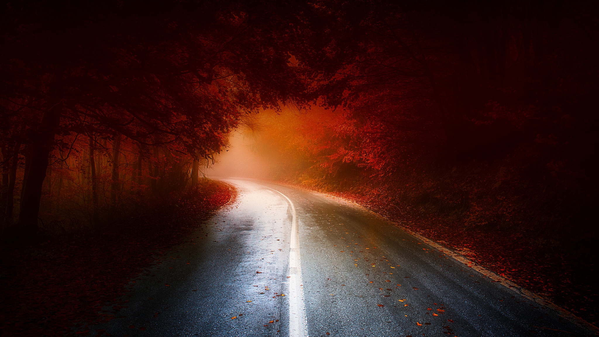 Download mobile wallpaper Nature, Road, Forest, Fog, Fall, Man Made for free.