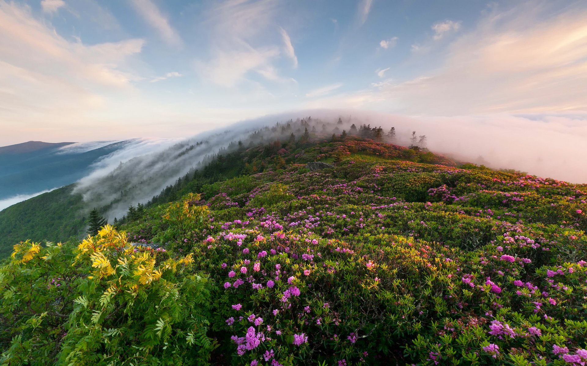 Handy-Wallpaper Landschaft, Erde/natur kostenlos herunterladen.