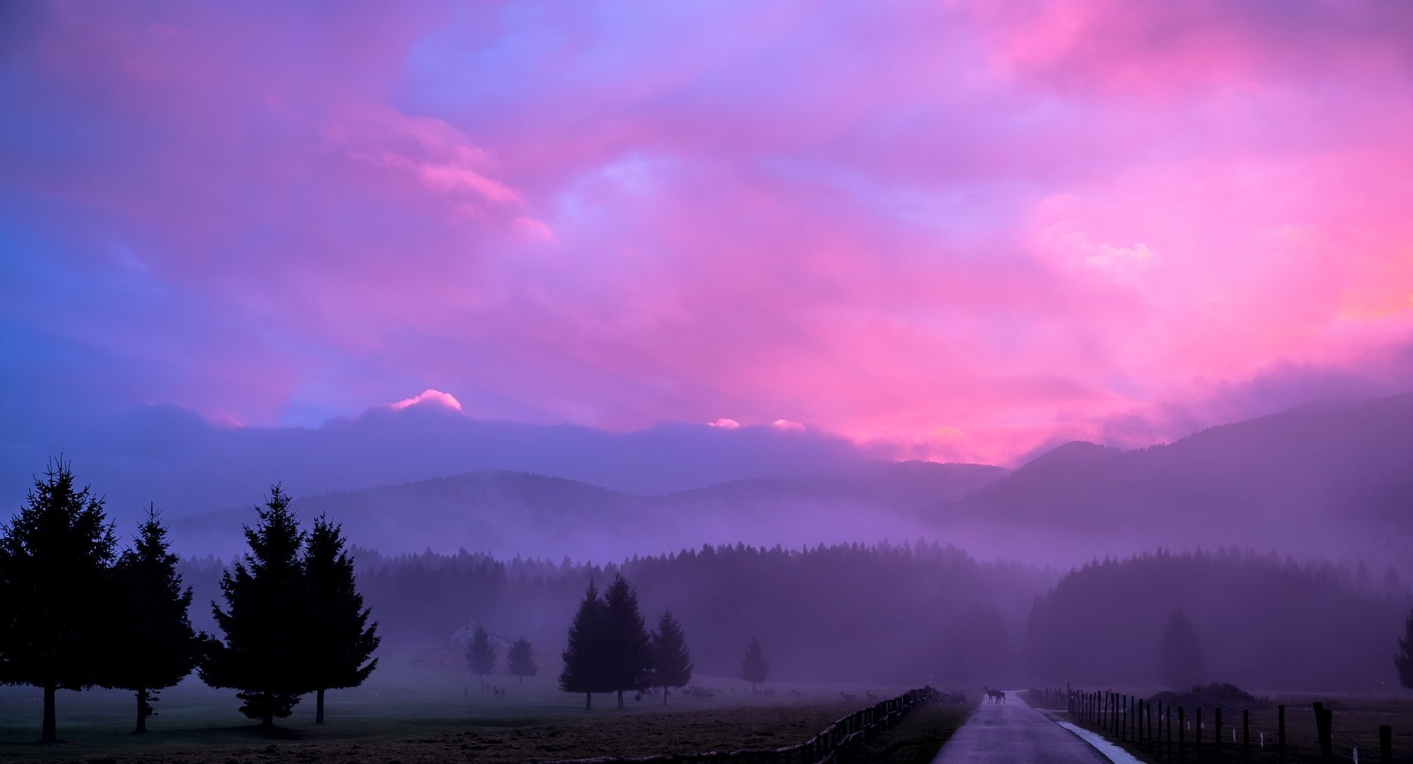 Download mobile wallpaper Sunset, Sky, Pink, Road, Tree, Fog, Cloud, Photography for free.