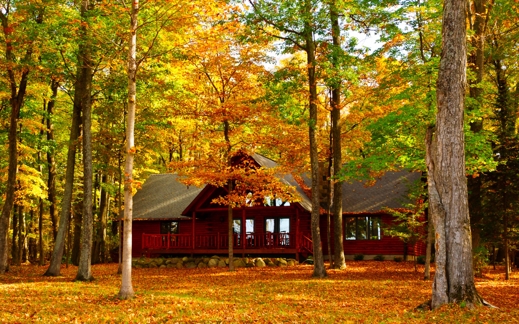 Скачать картинку Осень, Лес, Дерево, Дом, Сделано Человеком в телефон бесплатно.