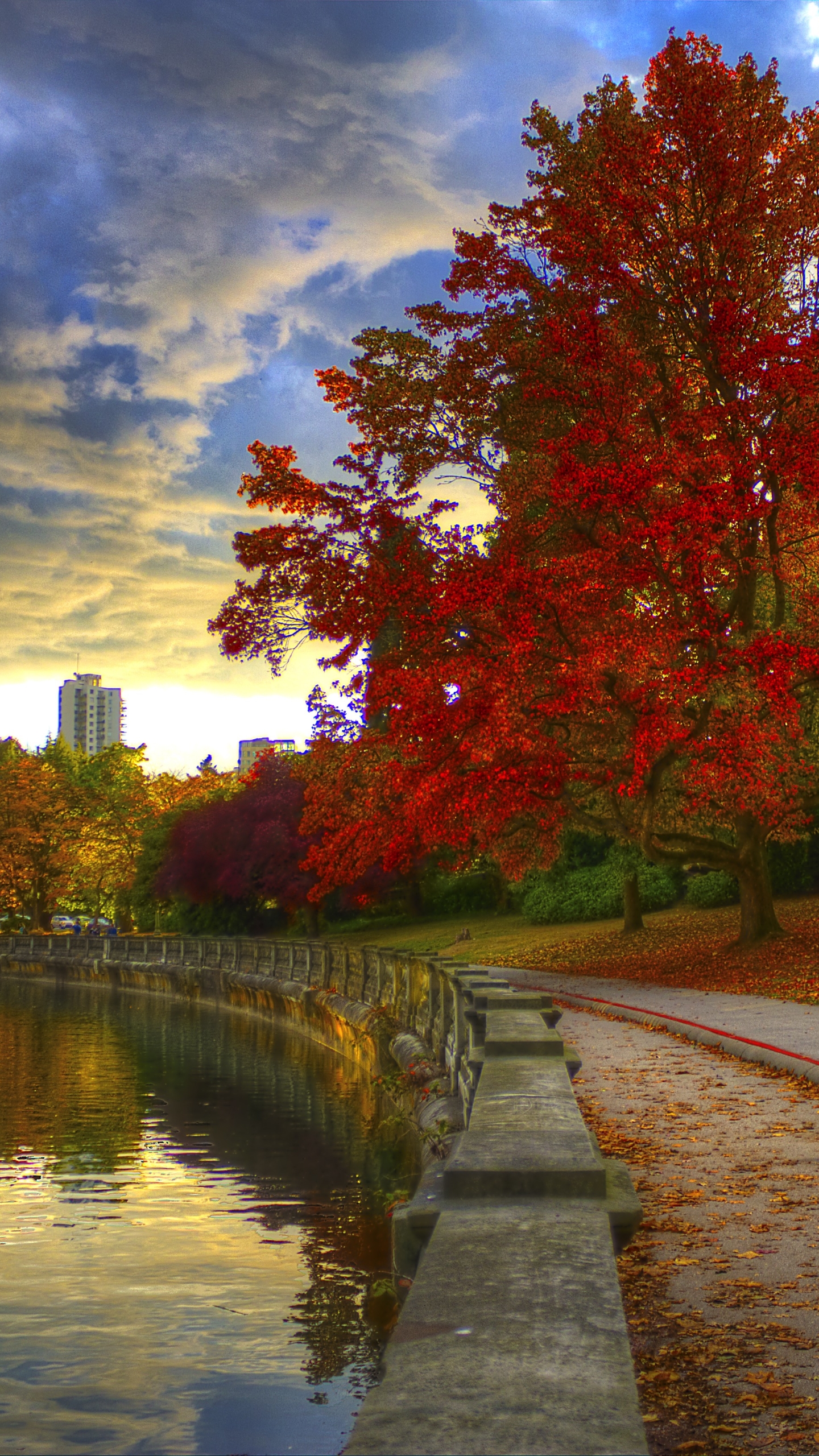 Handy-Wallpaper Herbst, Park, Baum, Fotografie, Britisch Kolumbien kostenlos herunterladen.