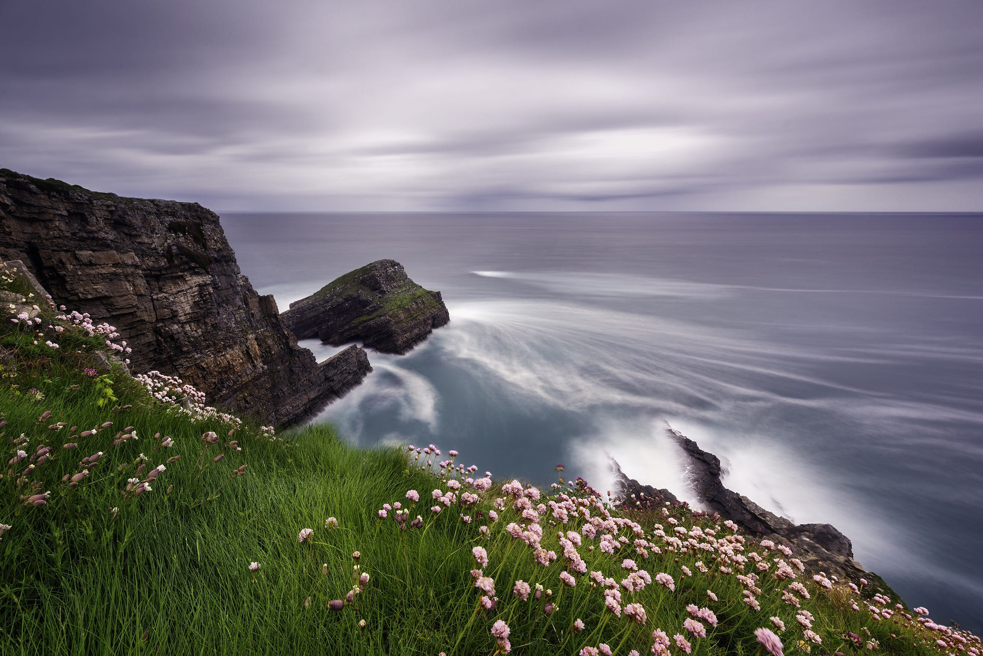 Laden Sie das Horizont, Blume, Küste, Ozean, Klippe, Gras, Meer, Erde/natur-Bild kostenlos auf Ihren PC-Desktop herunter