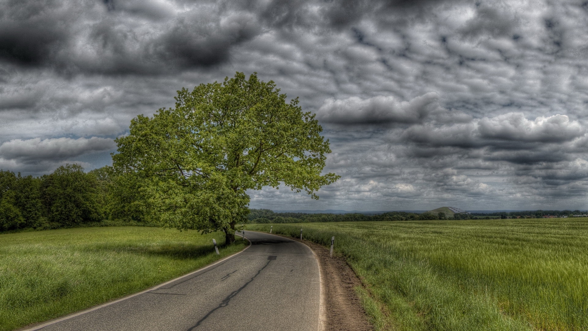 Download mobile wallpaper Trees, Roads, Landscape for free.