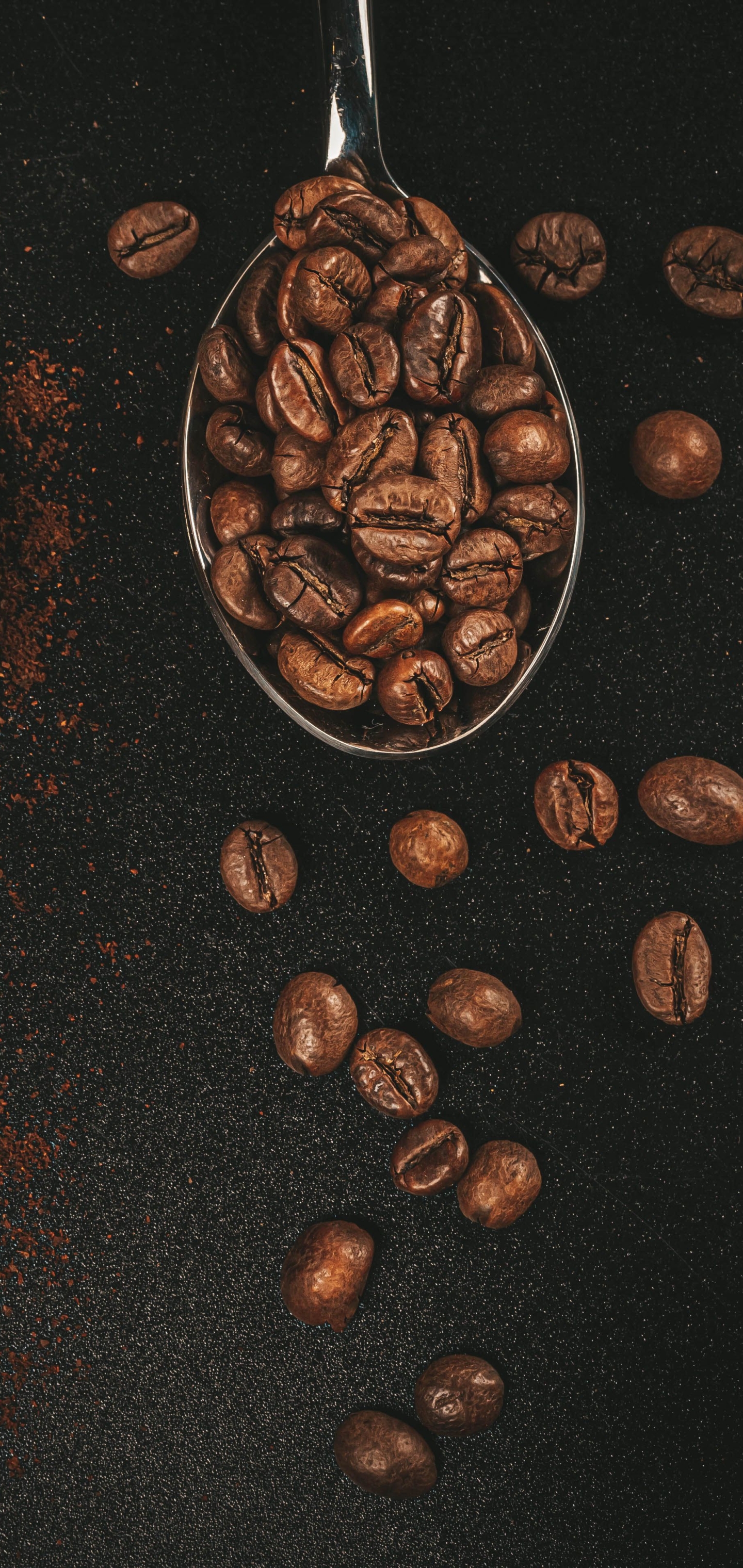 Download mobile wallpaper Food, Coffee, Coffee Beans for free.