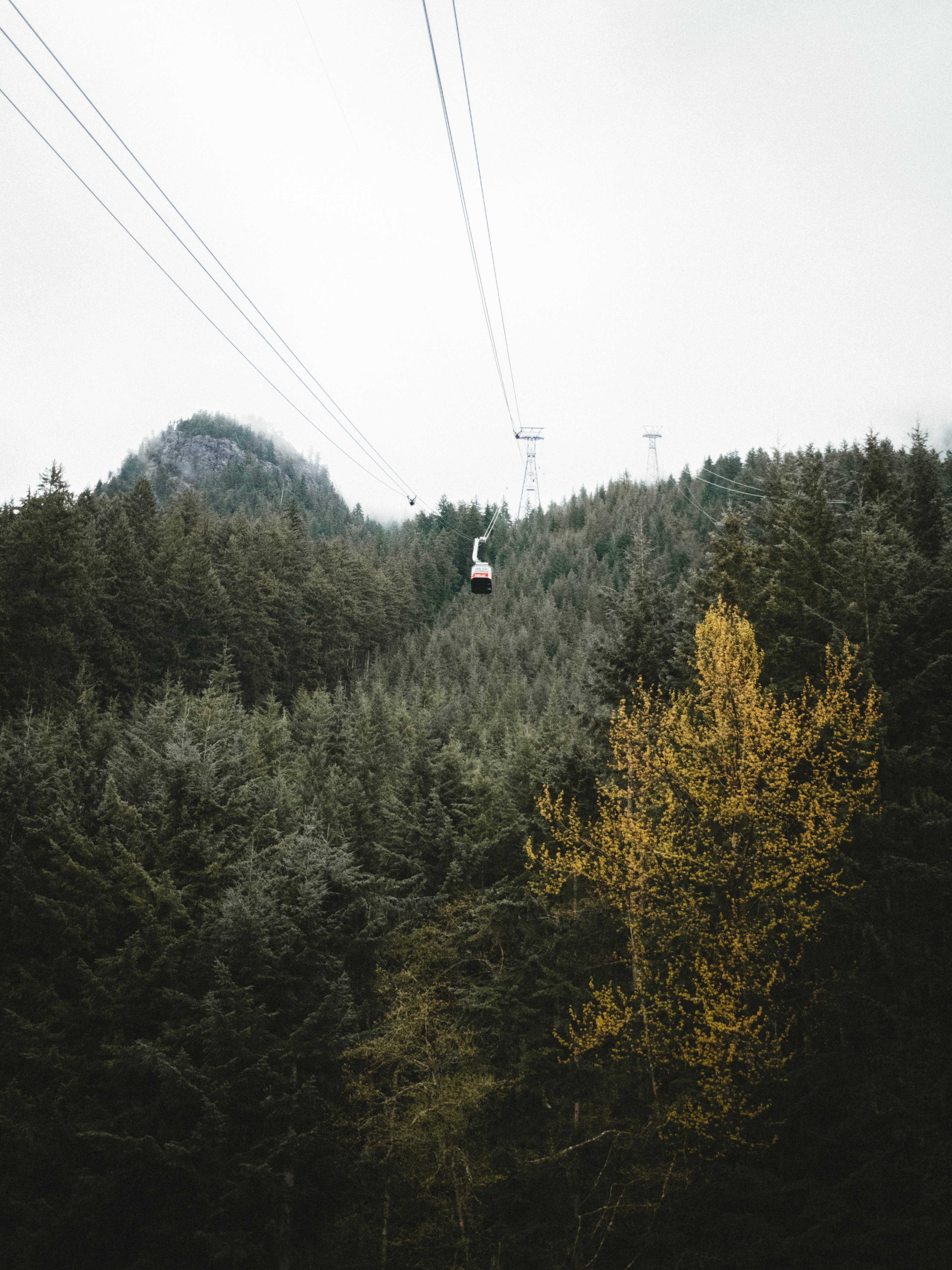 nature, trees, mountains, forest, height, cable car, cableway