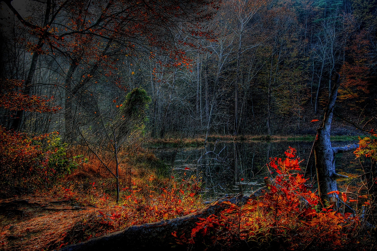 Baixe gratuitamente a imagem Lago, Terra/natureza na área de trabalho do seu PC