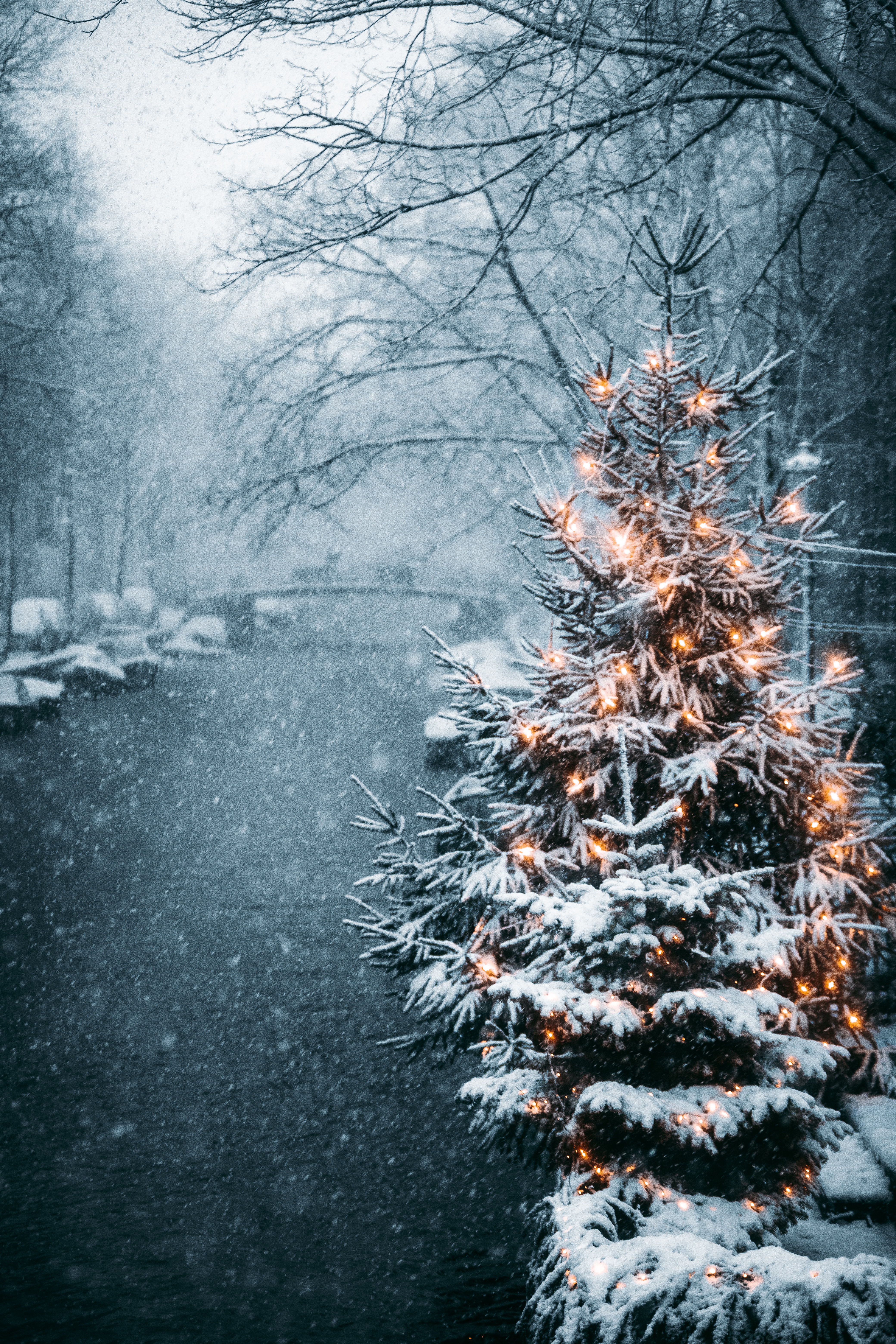 holidays, christmas tree, new year, winter, snow, garland, garlands cellphone