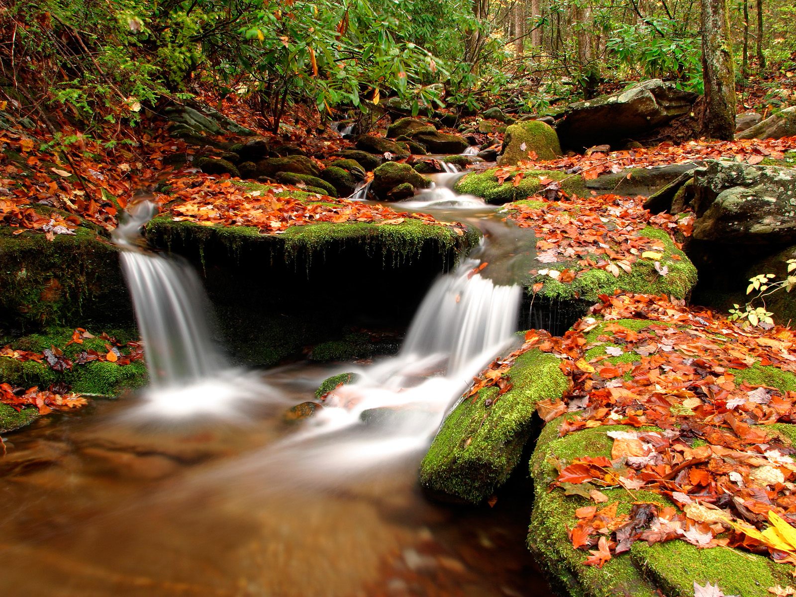 Download mobile wallpaper Nature, Waterfall, Leaf, Fall, Earth for free.