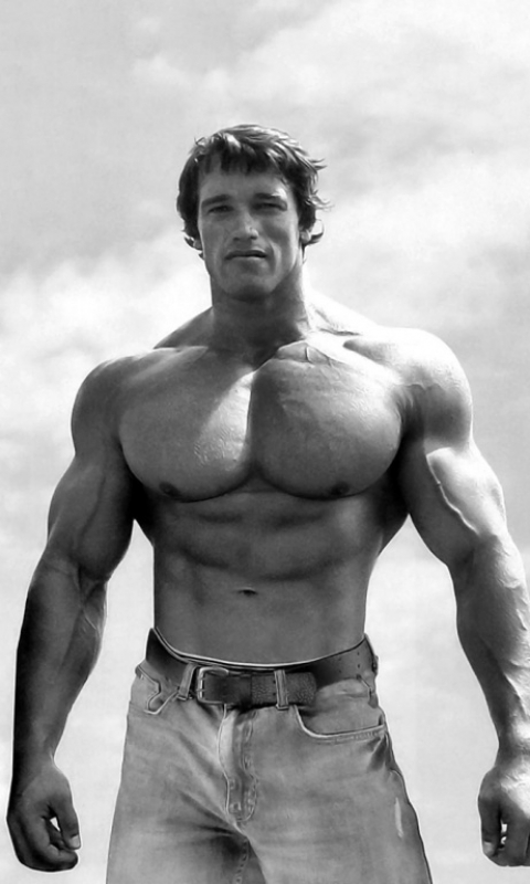 Download mobile wallpaper Arnold Schwarzenegger, Celebrity for free.