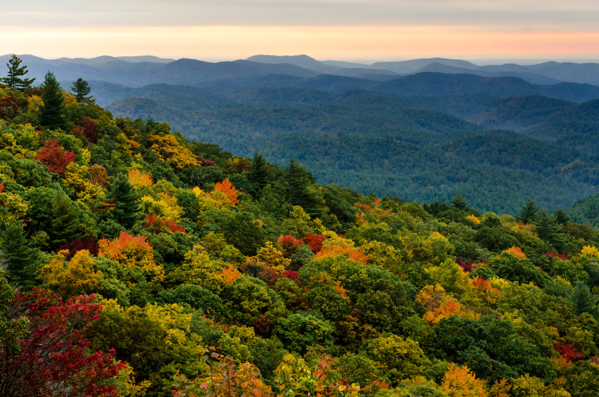 Descarga gratis la imagen Otoño, Tierra/naturaleza en el escritorio de tu PC