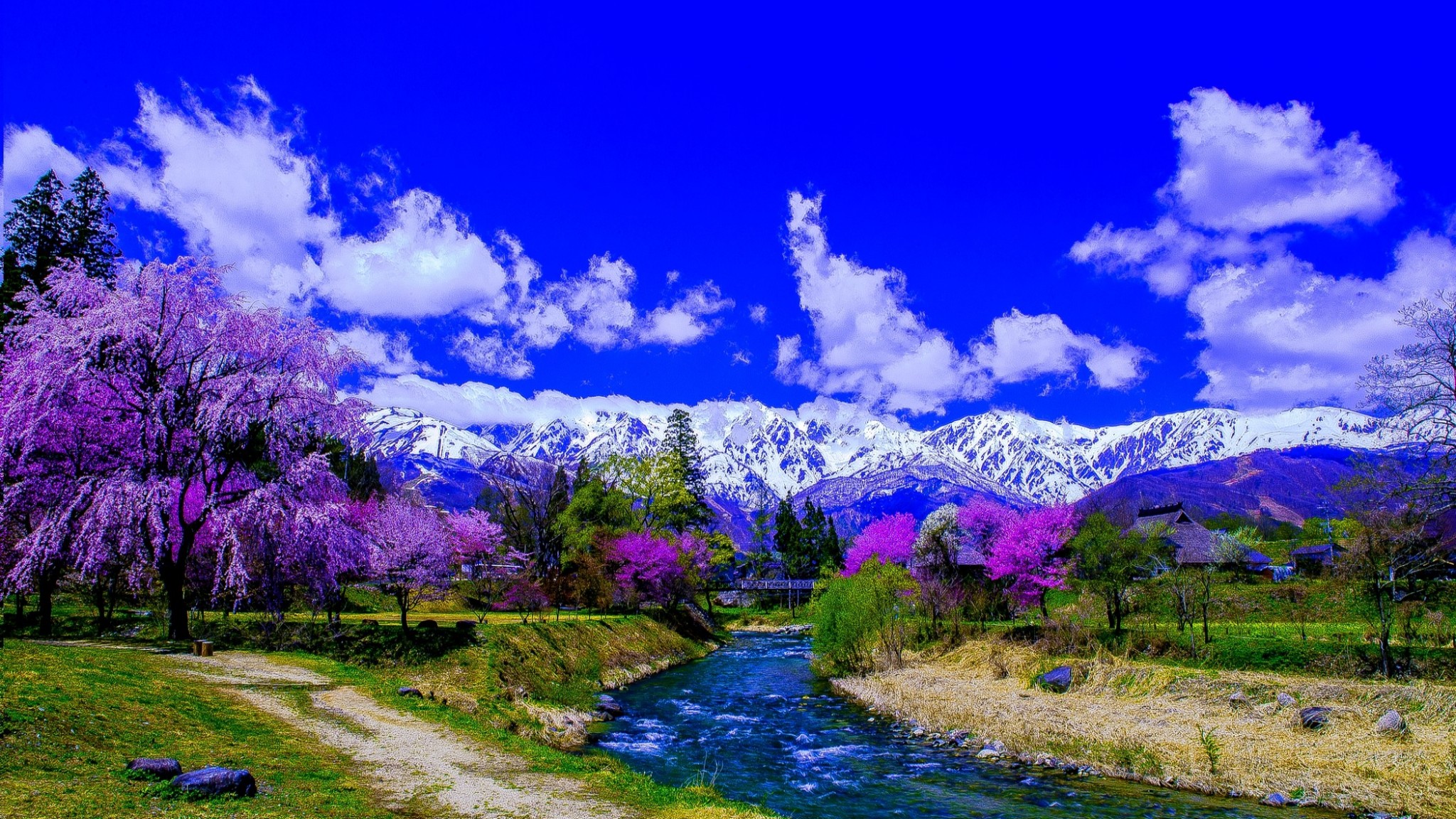 Handy-Wallpaper Landschaft, Schnee, Baum, Fluss, Lila, Gebirge, Japan, Blüte, Fotografie kostenlos herunterladen.
